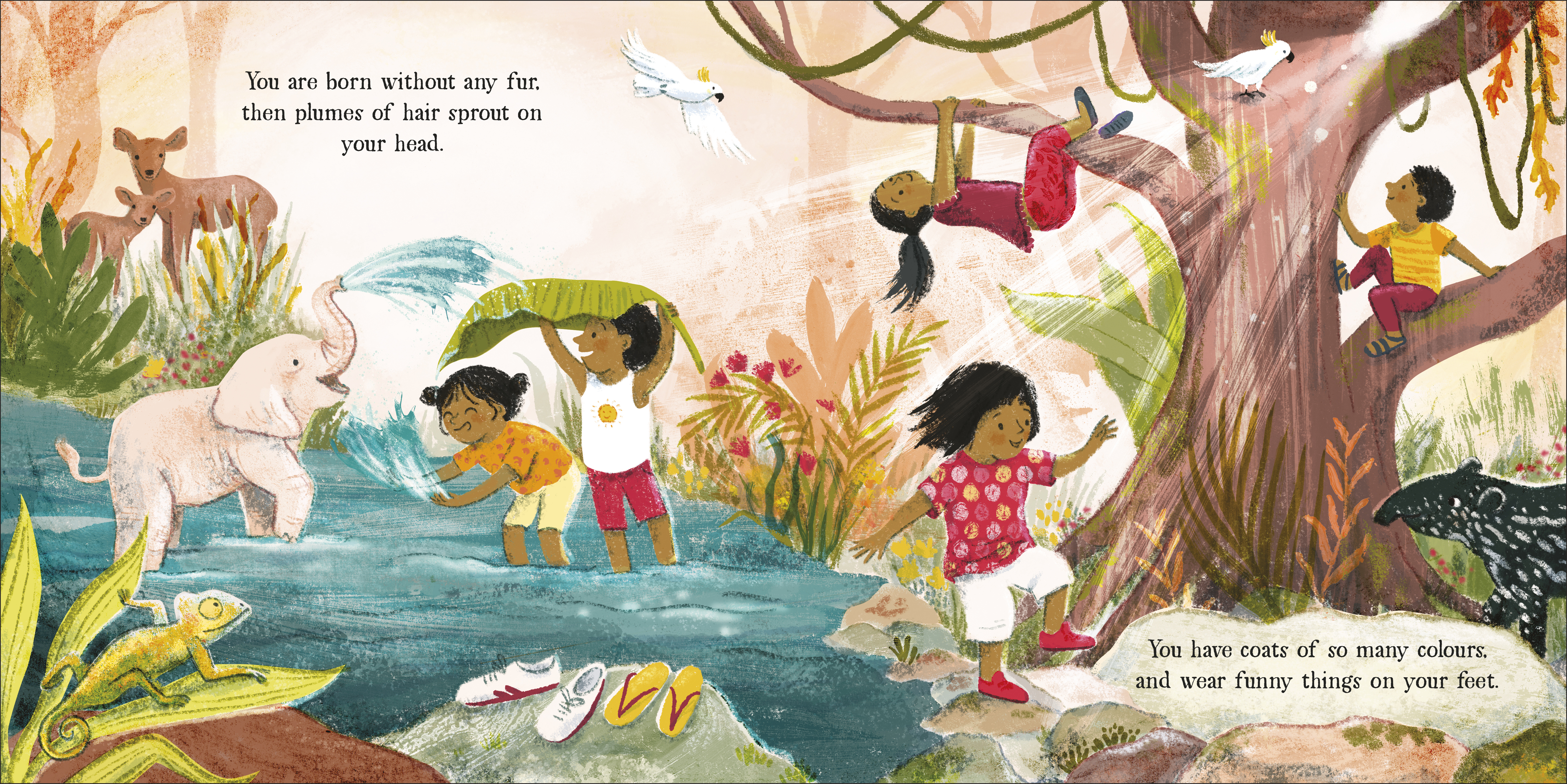 additional book photo