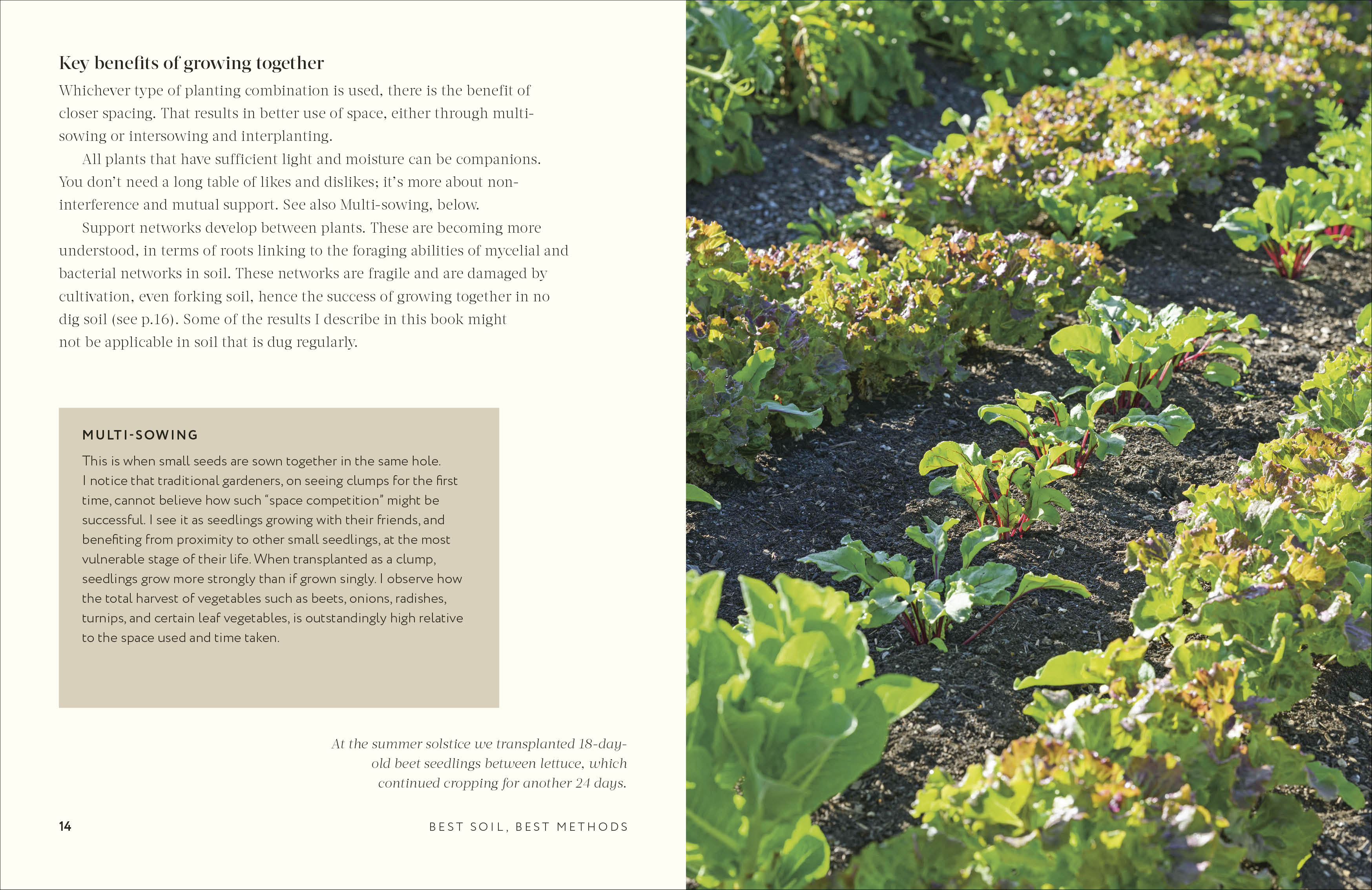 additional book photo