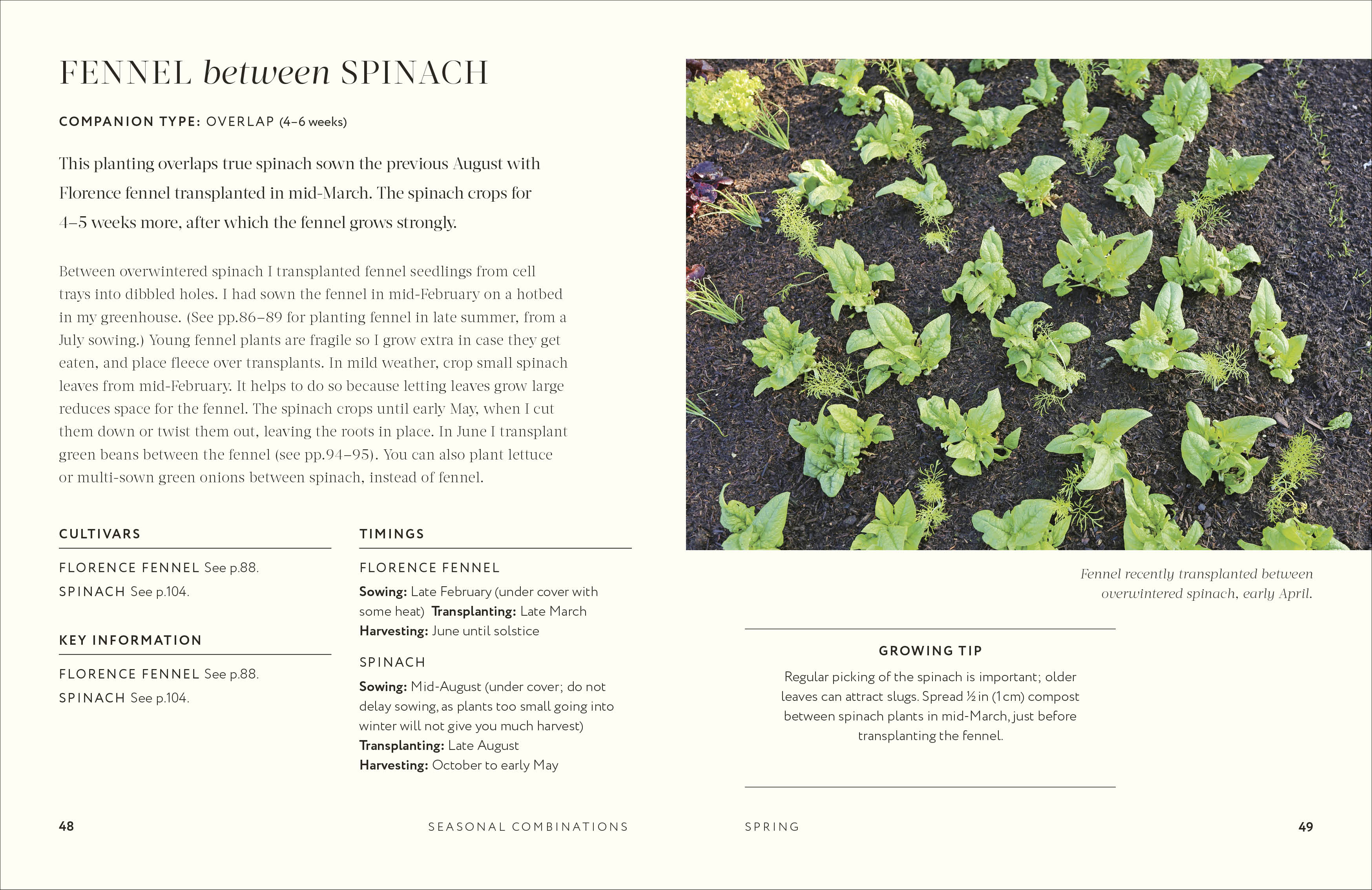 additional book photo