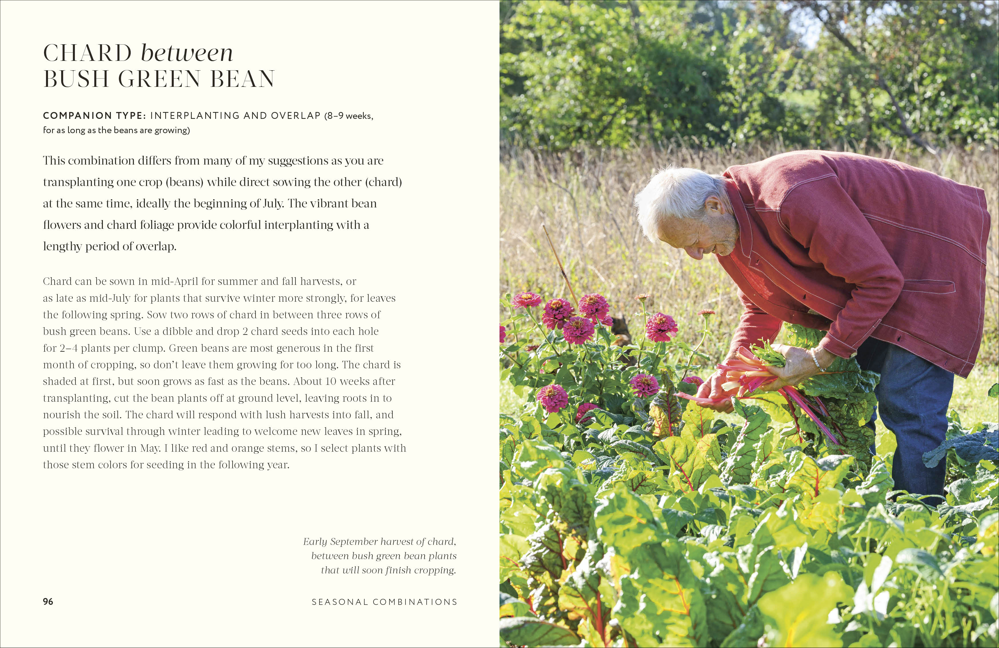 additional book photo