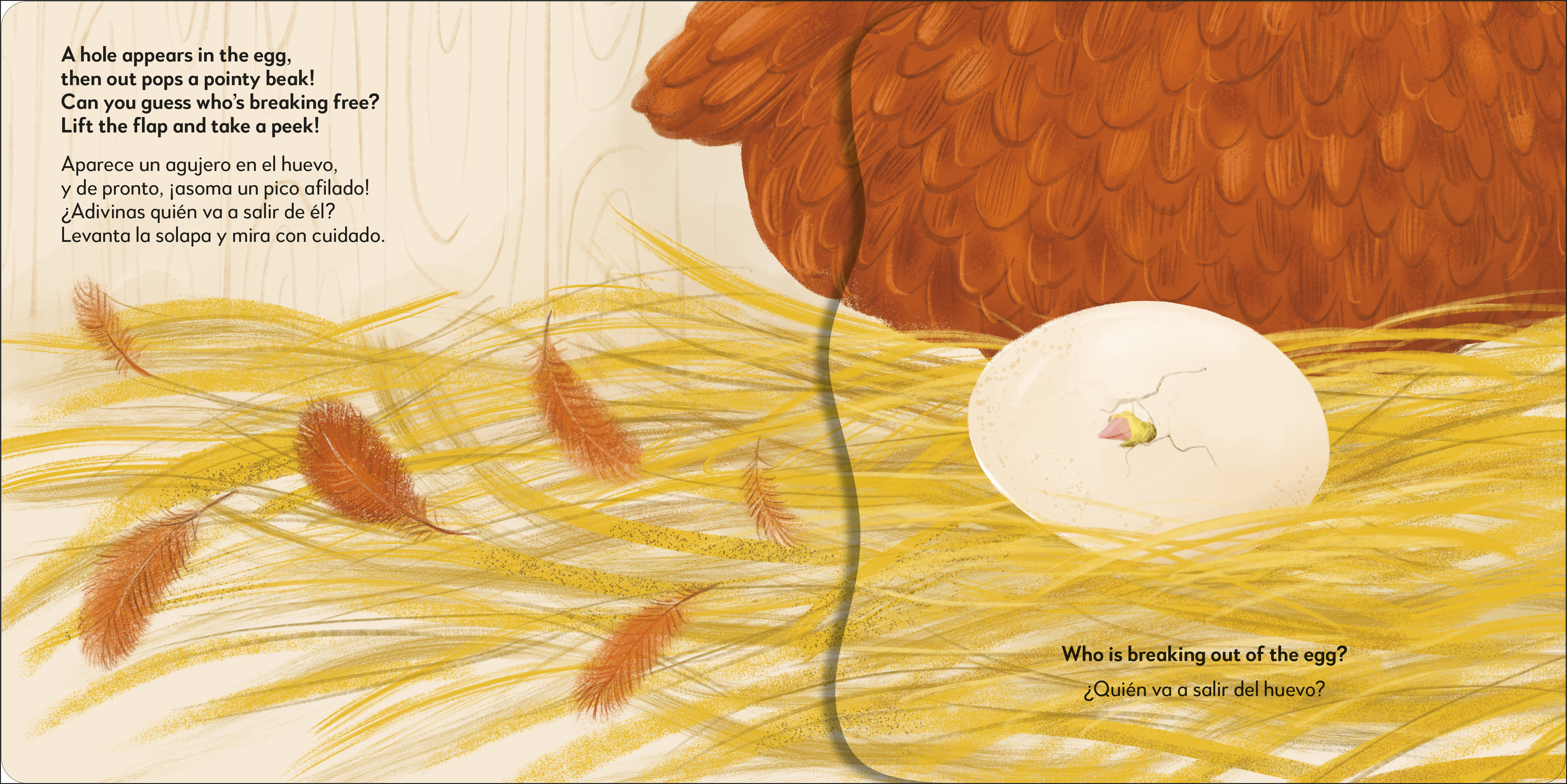 additional book photo