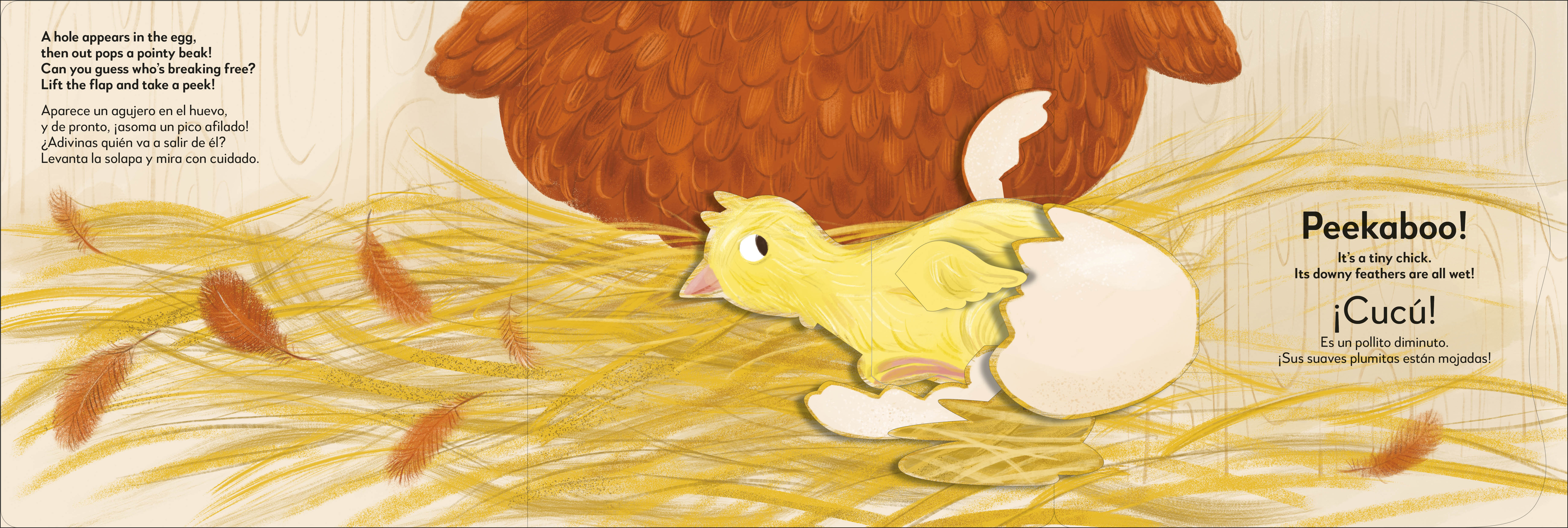 additional book photo