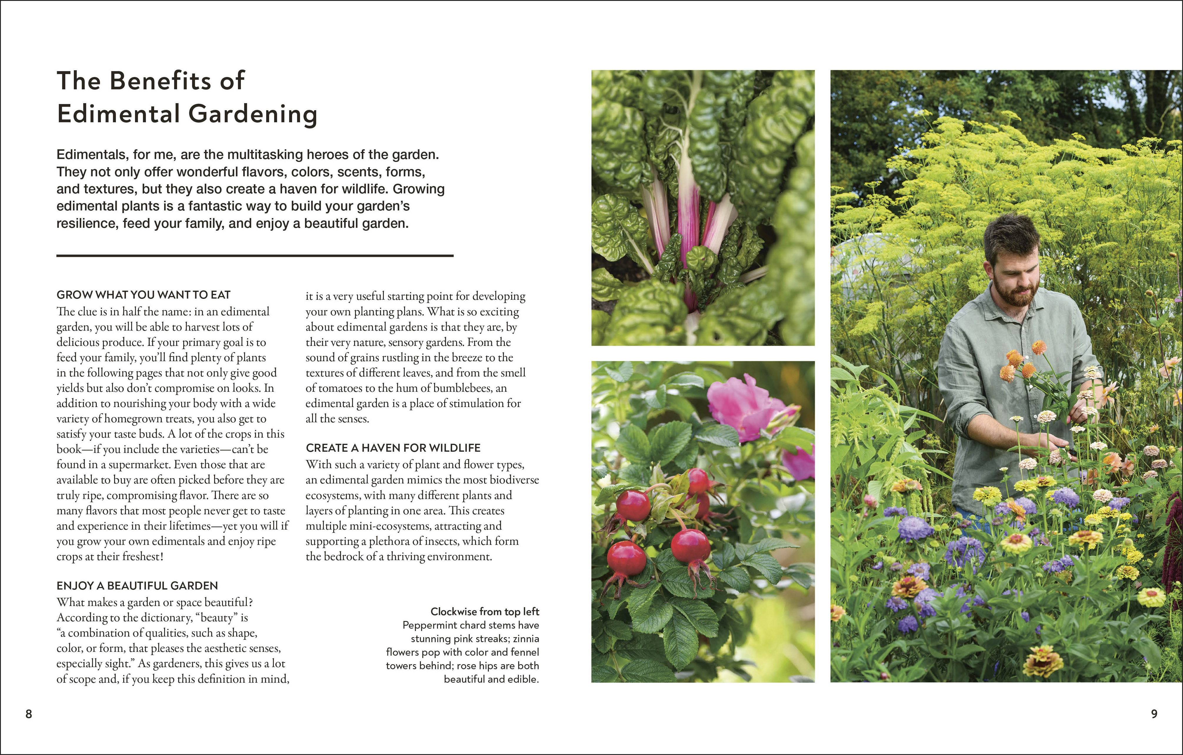 additional book photo