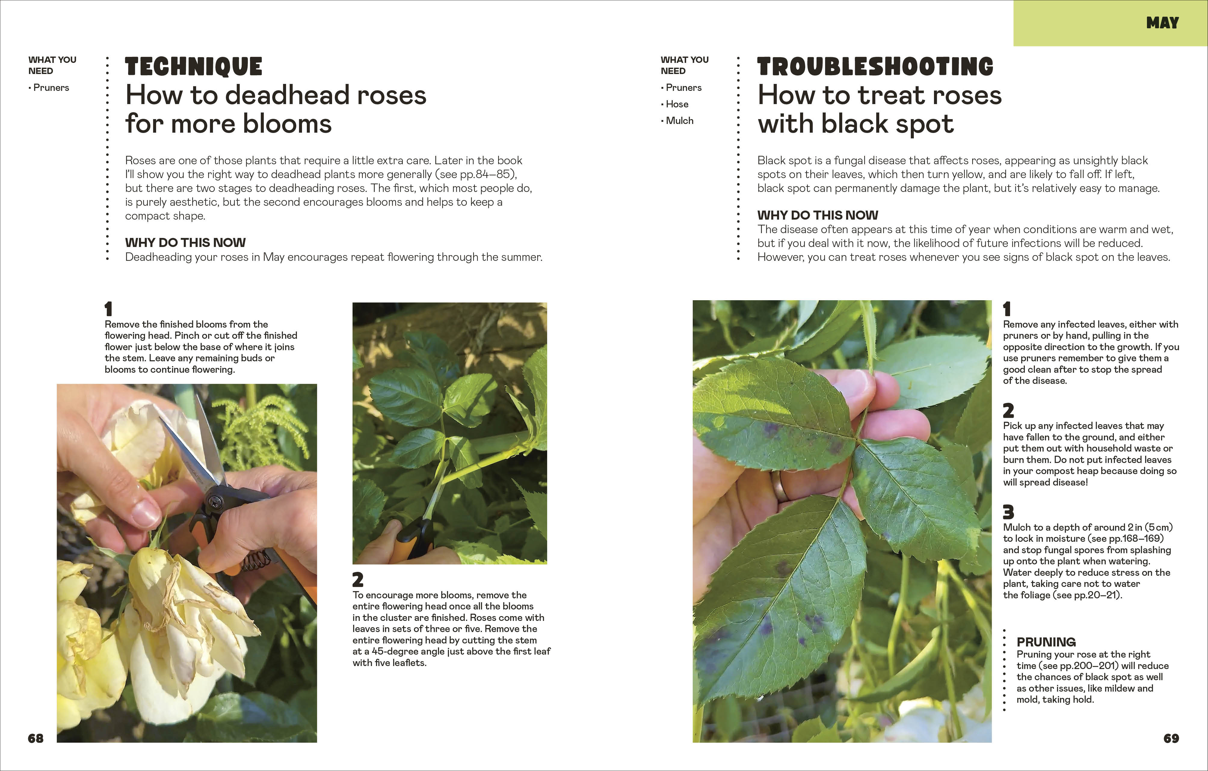 additional book photo