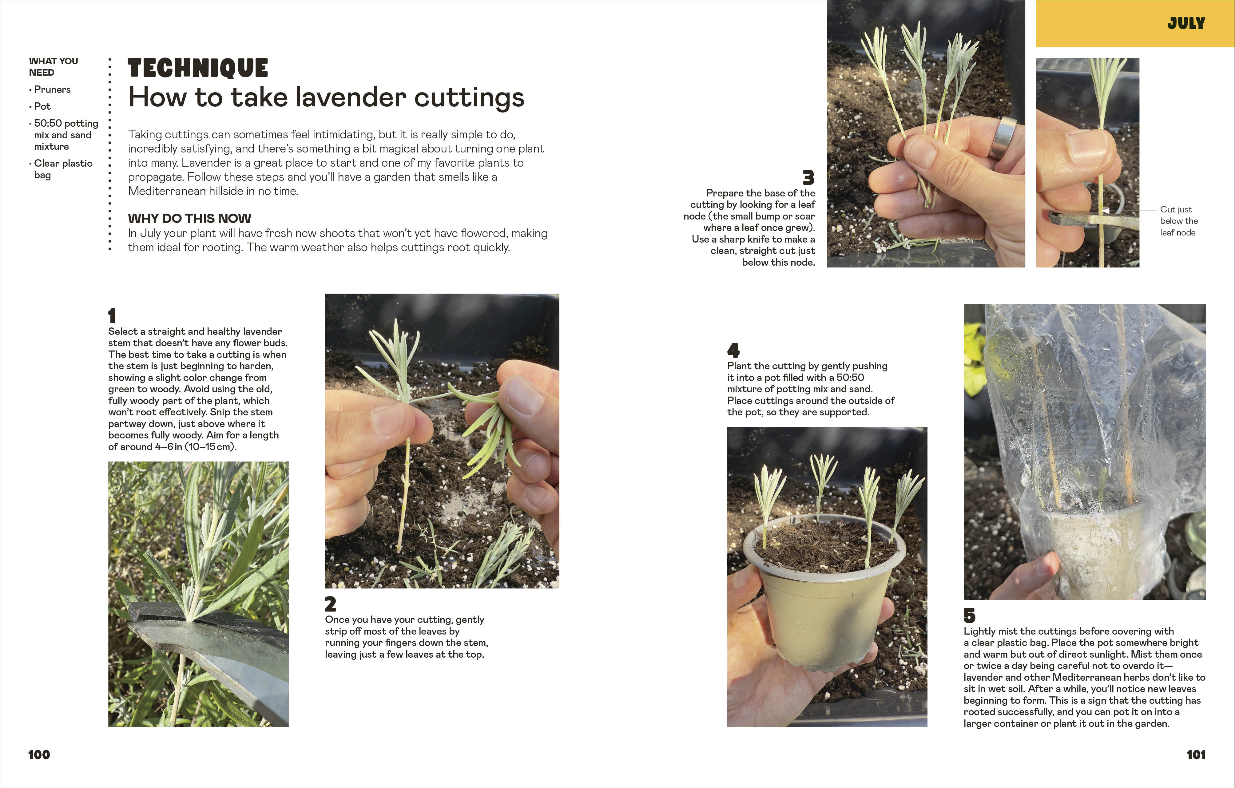 additional book photo