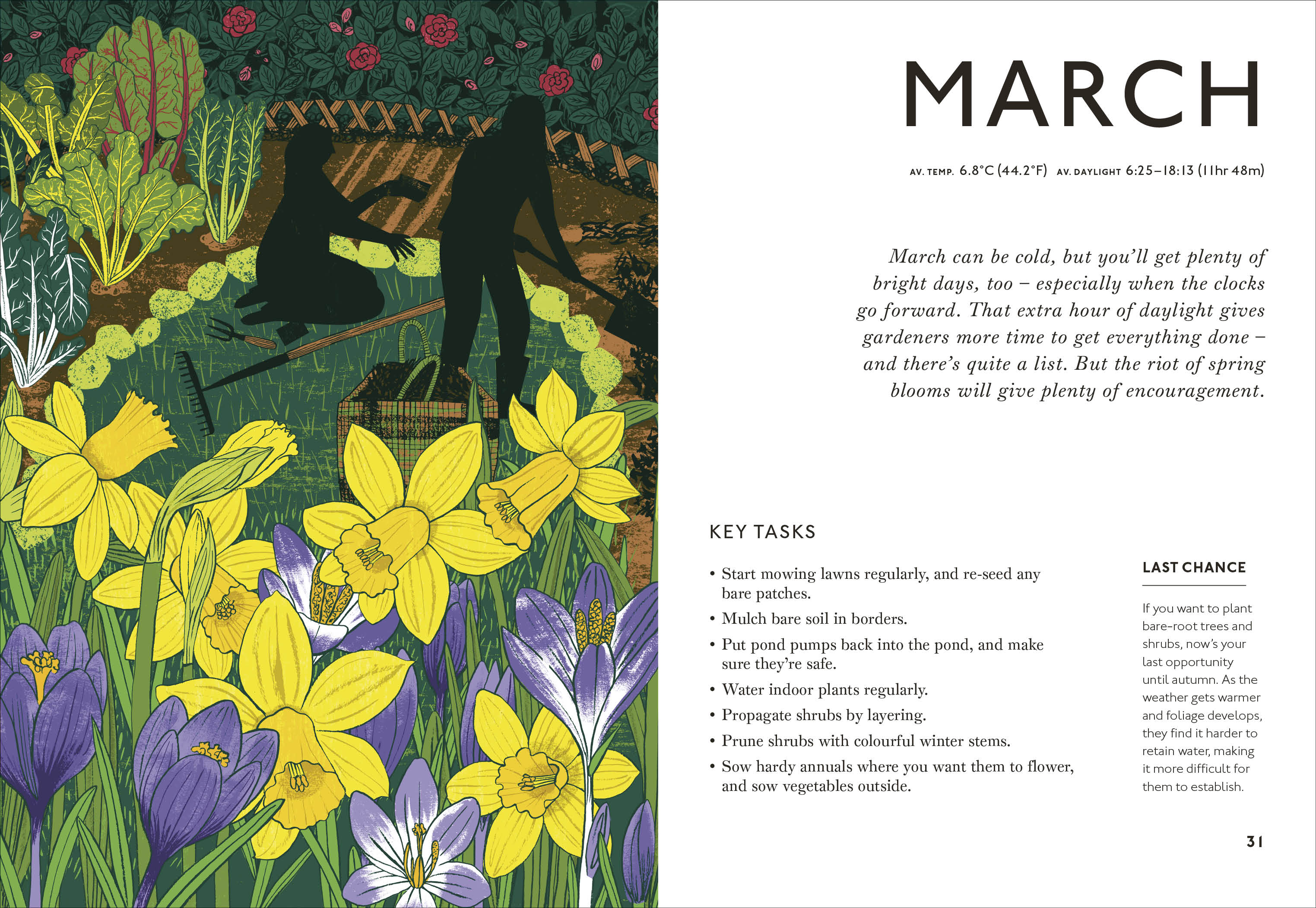 additional book photo