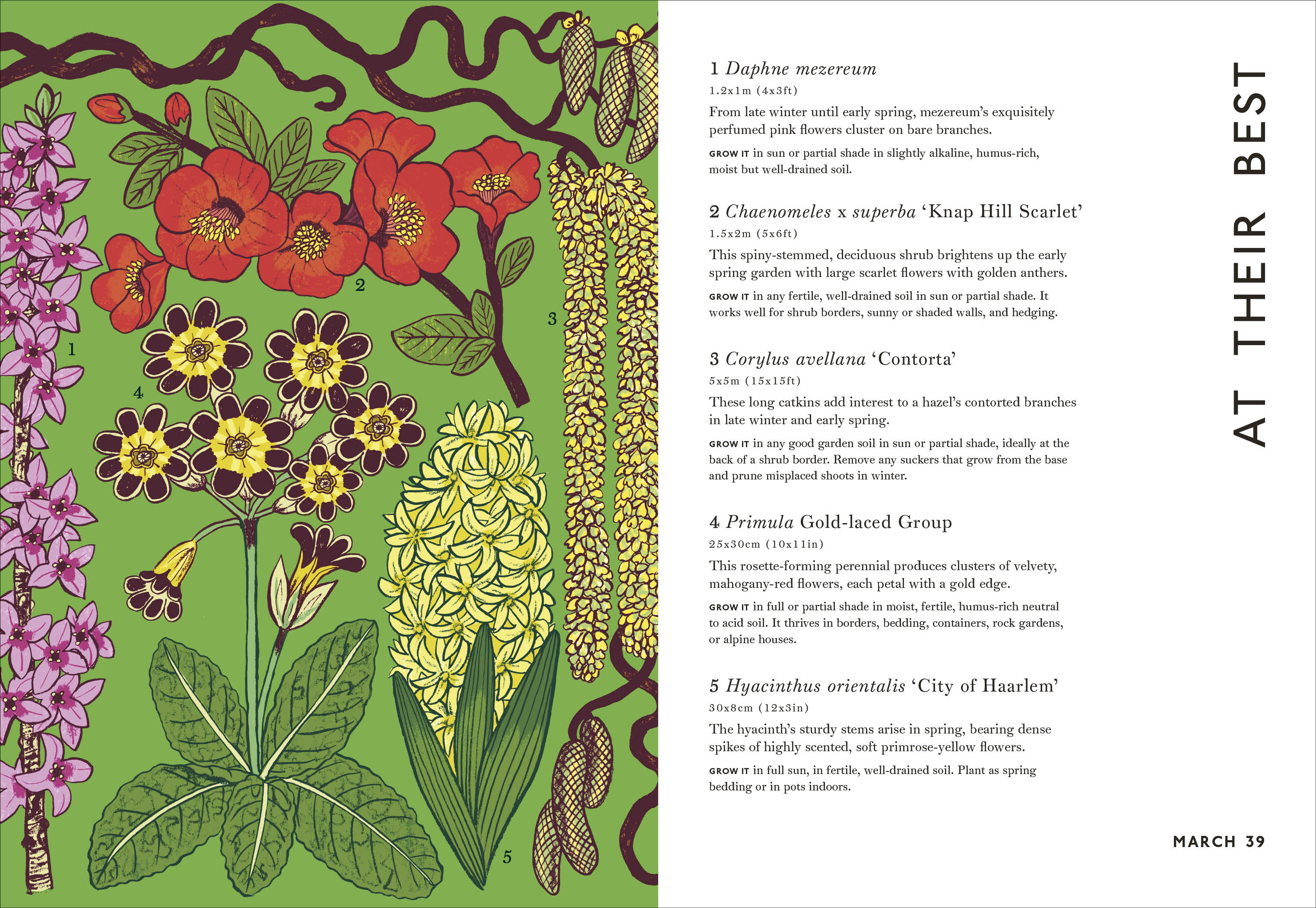 additional book photo