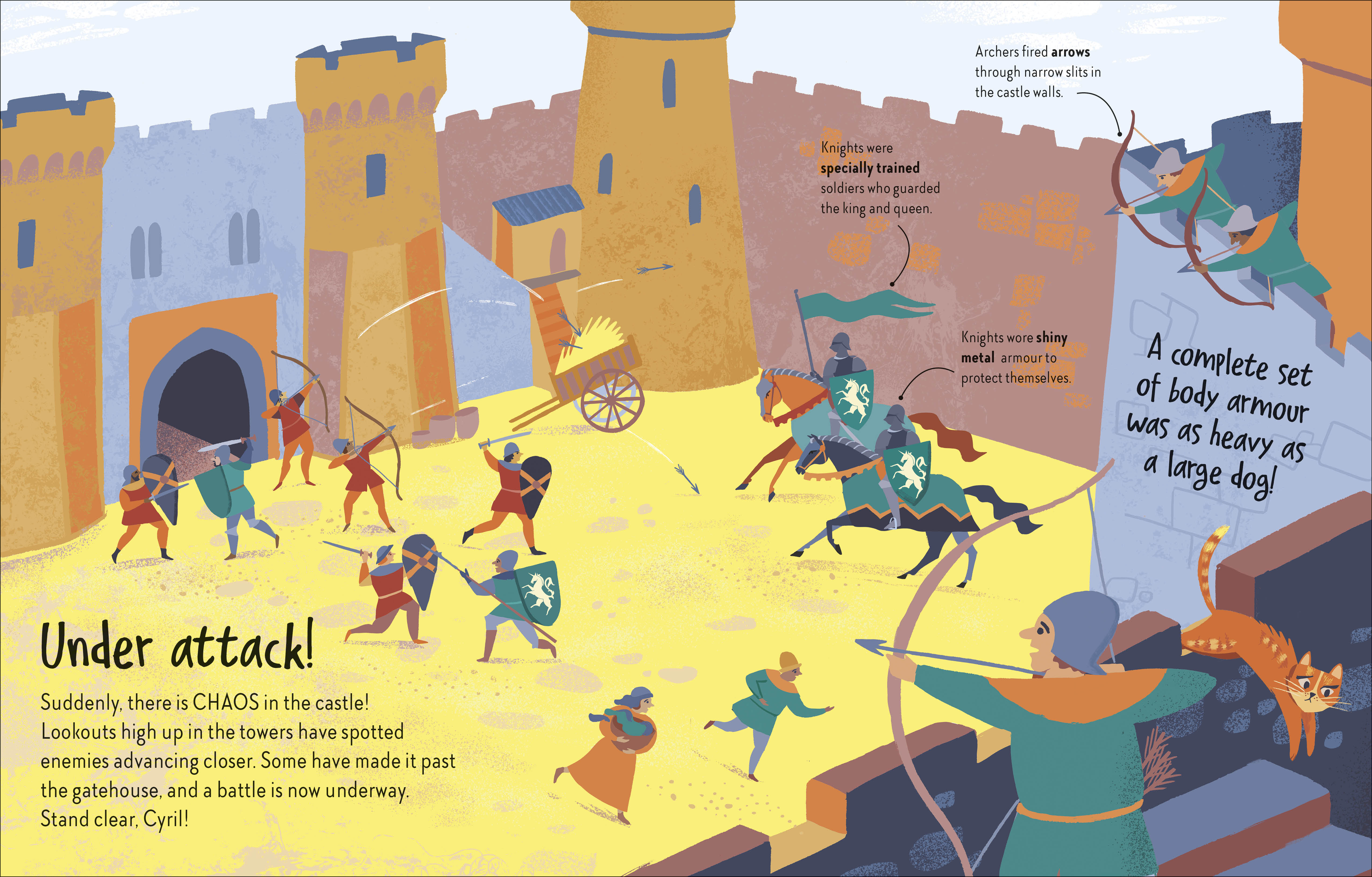 additional book photo