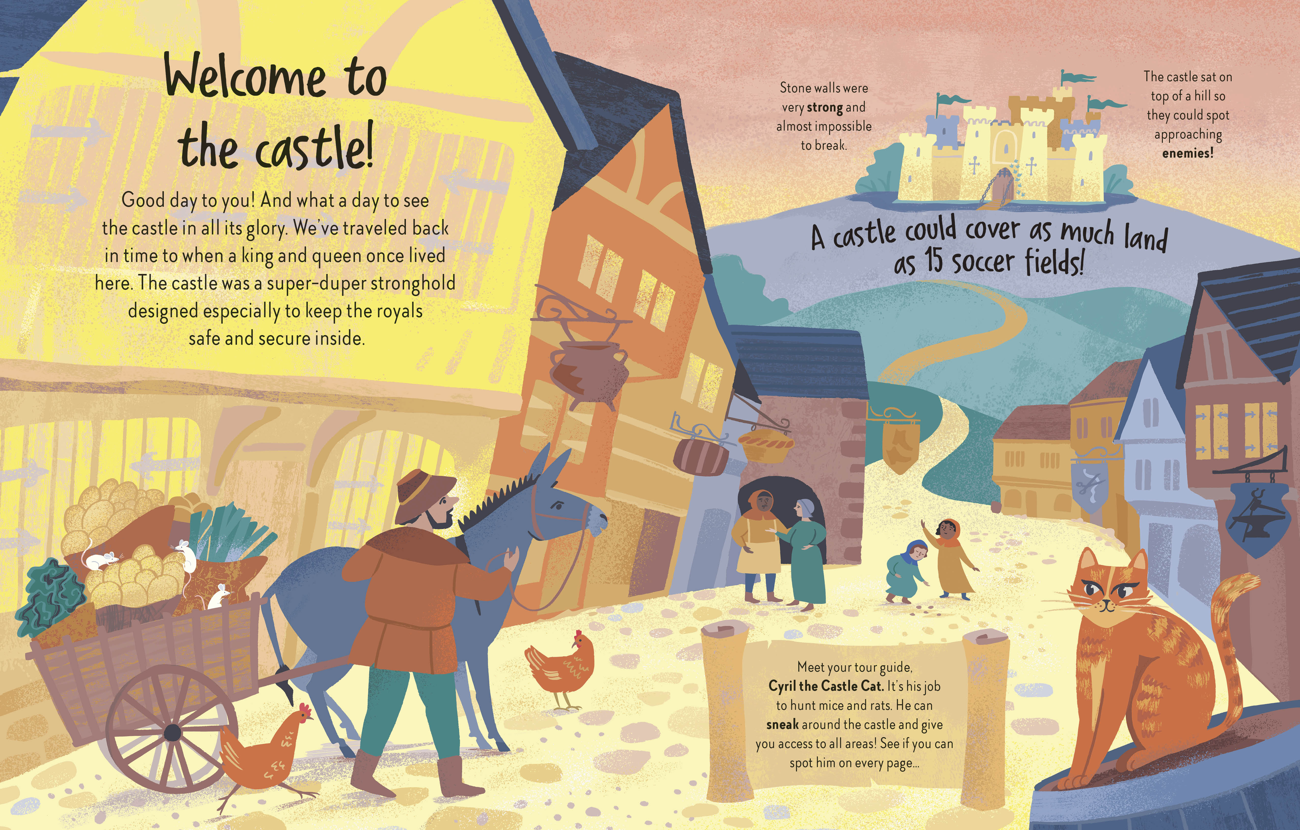 additional book photo