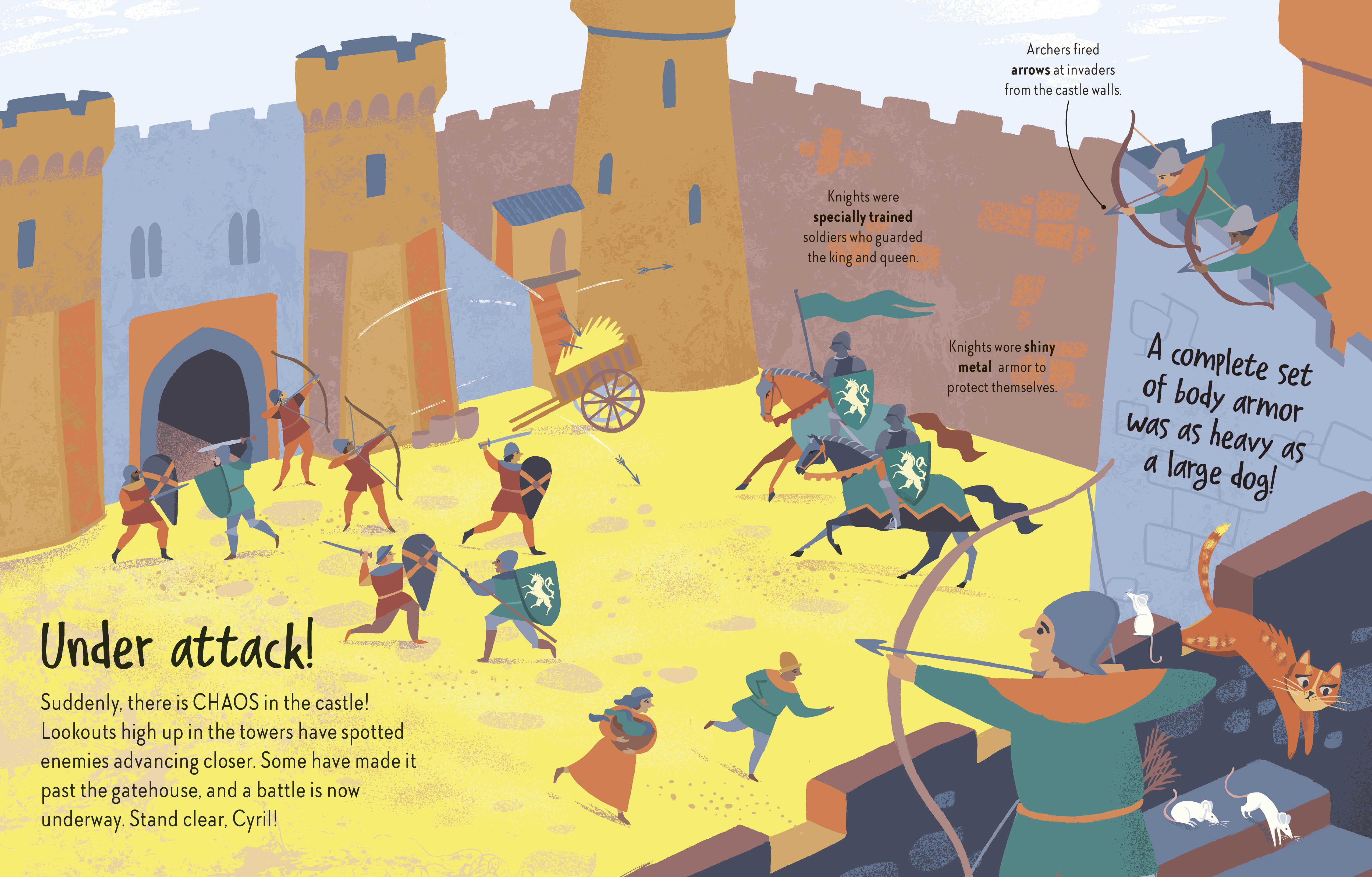 additional book photo