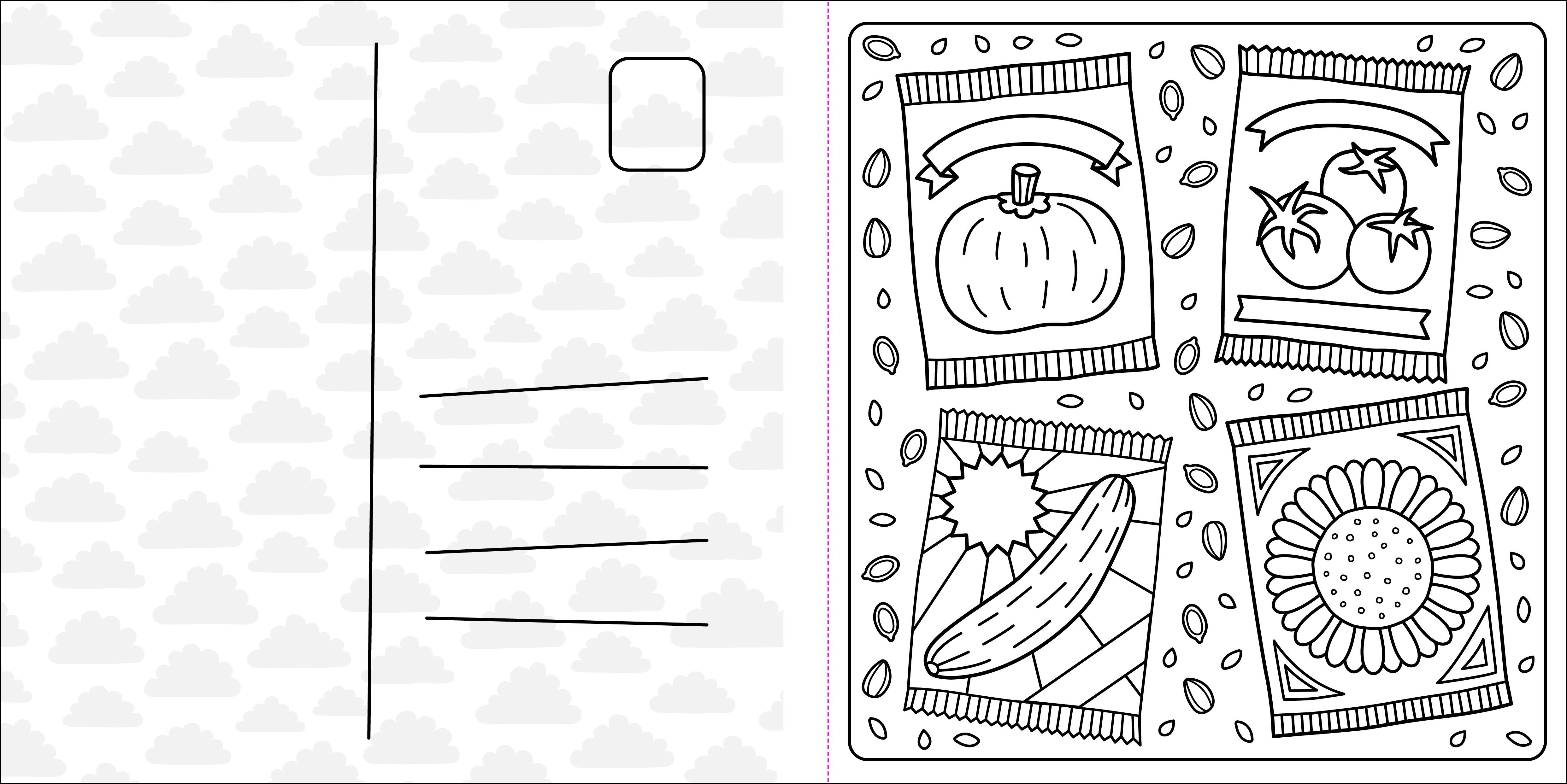 additional book photo