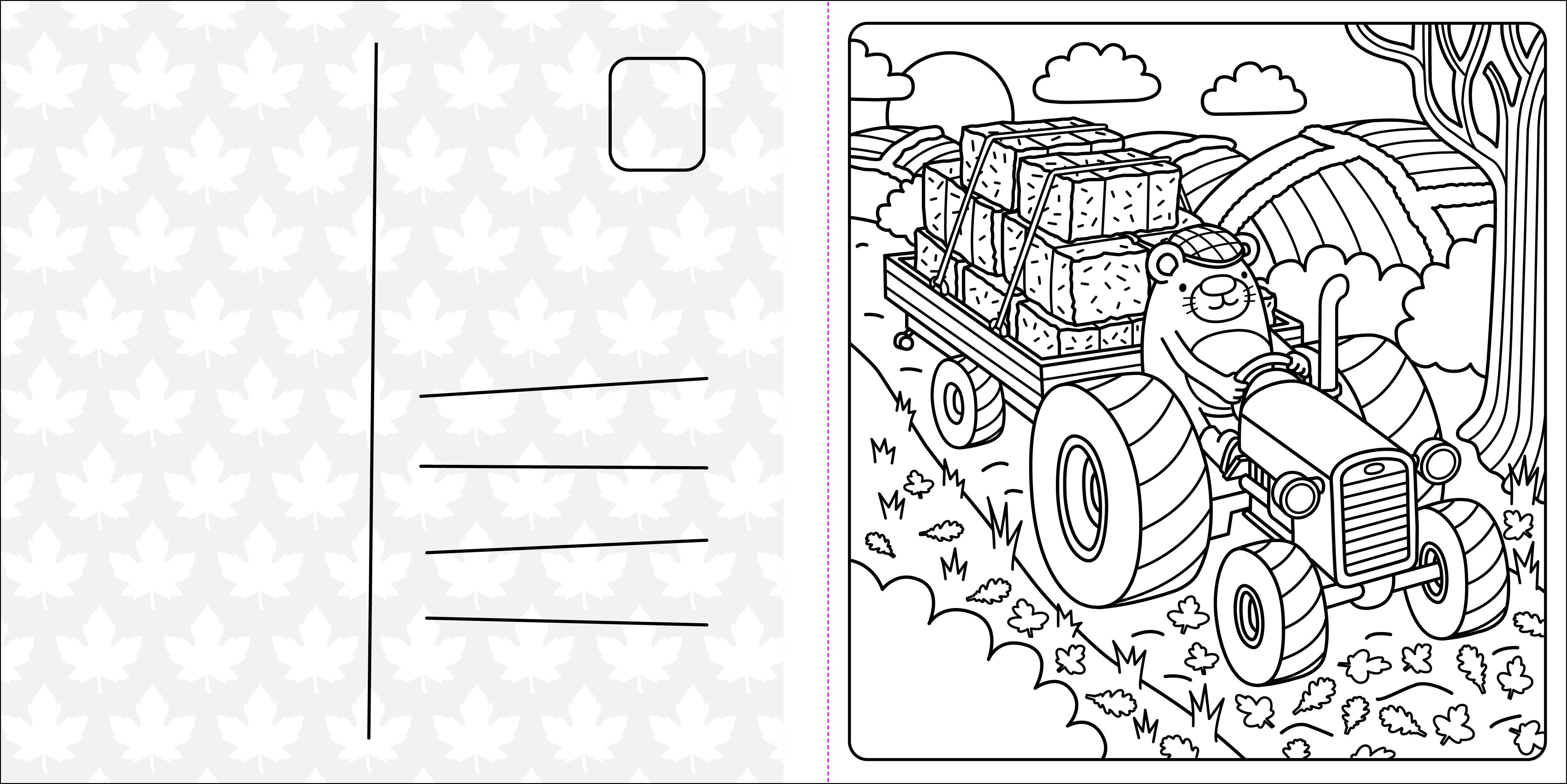 additional book photo