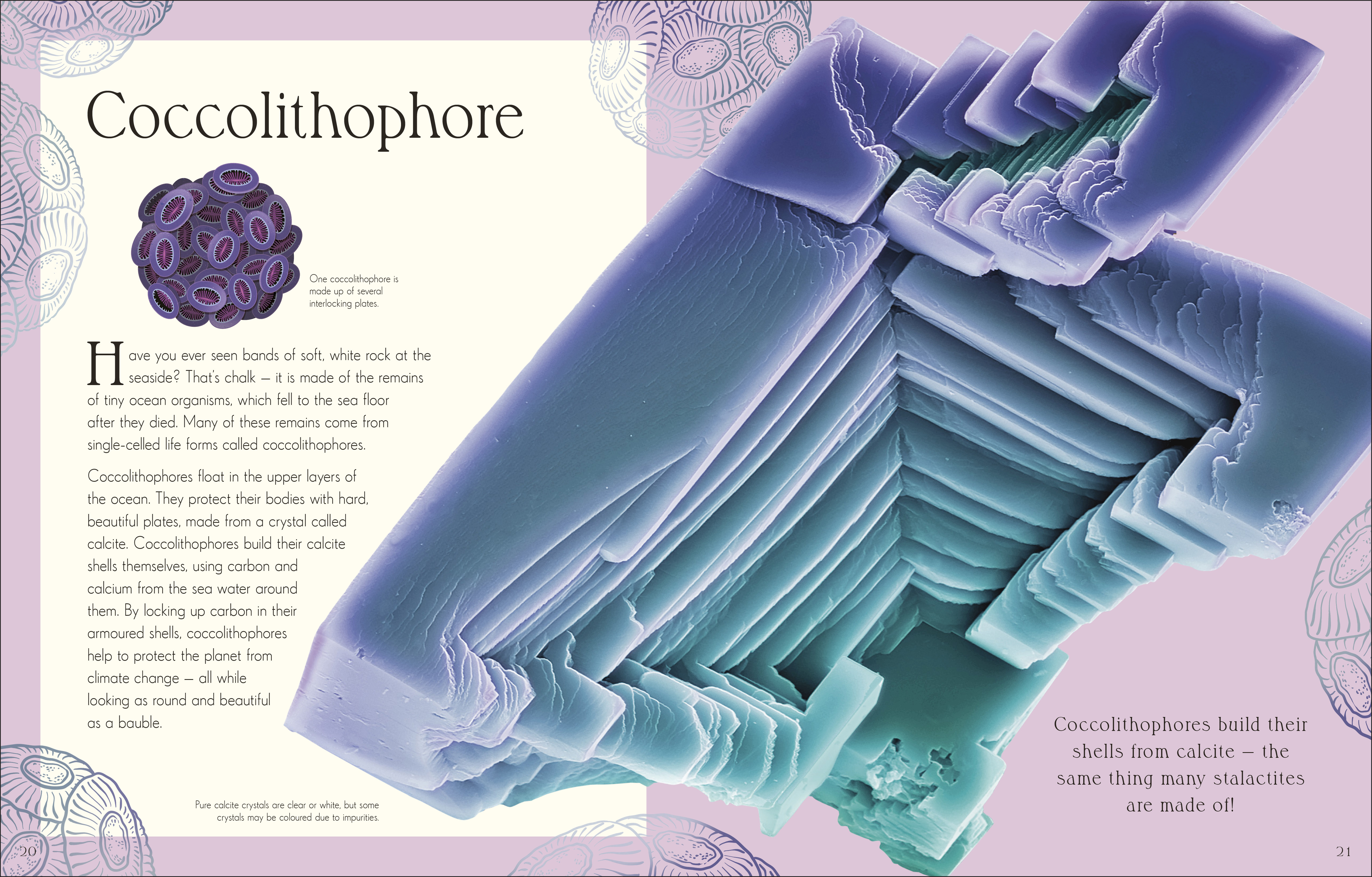 additional book photo