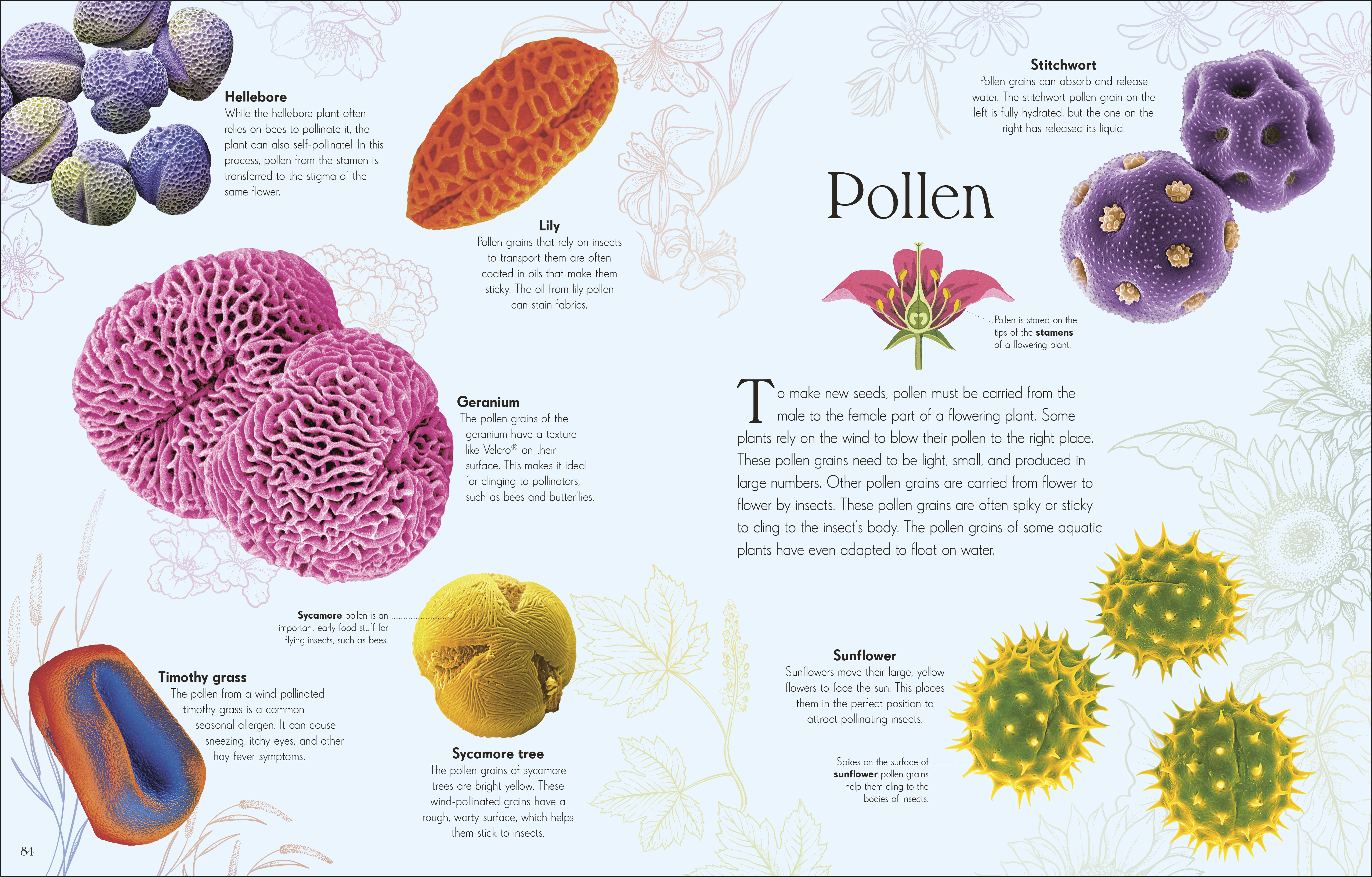 additional book photo