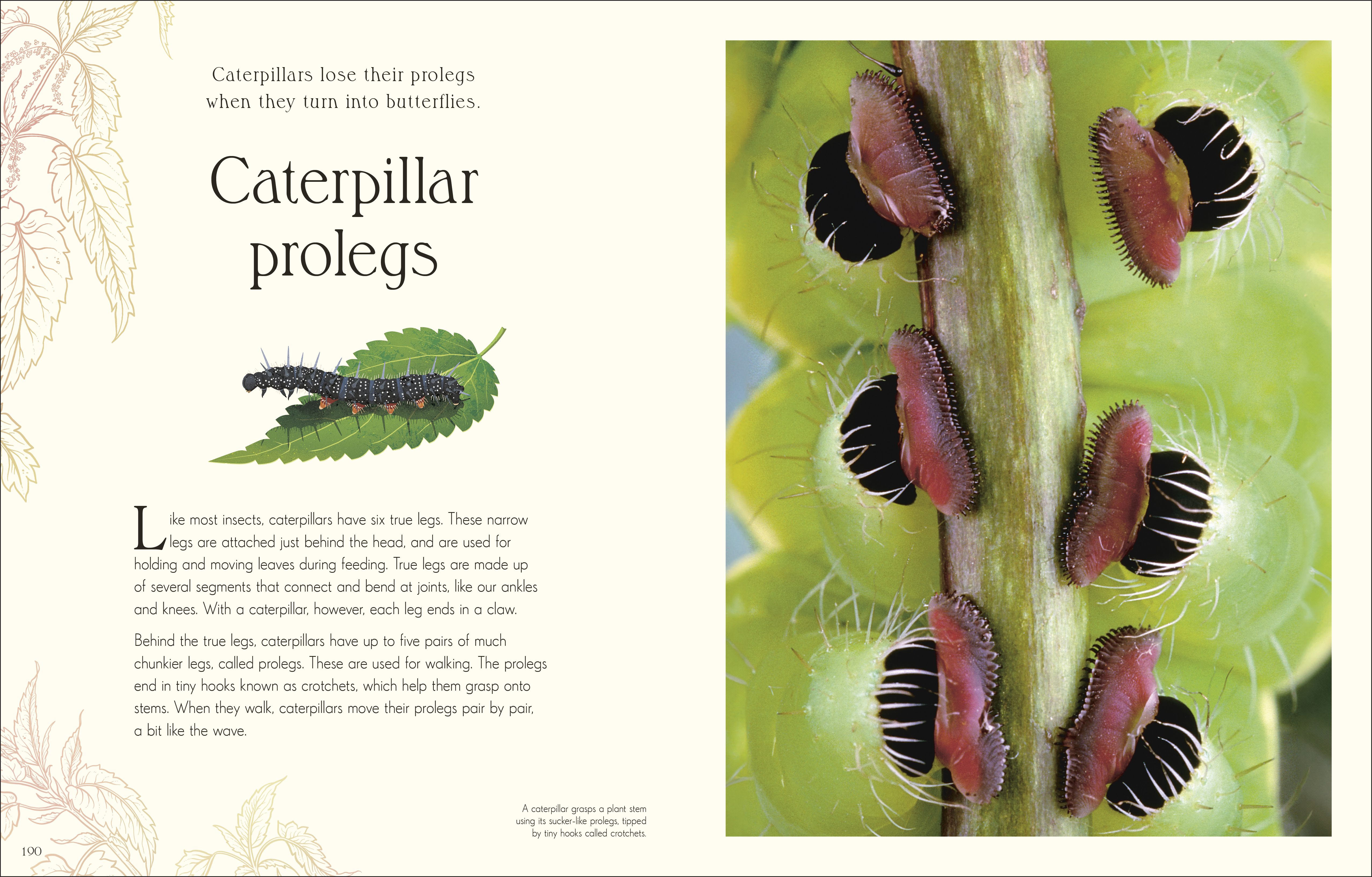 additional book photo