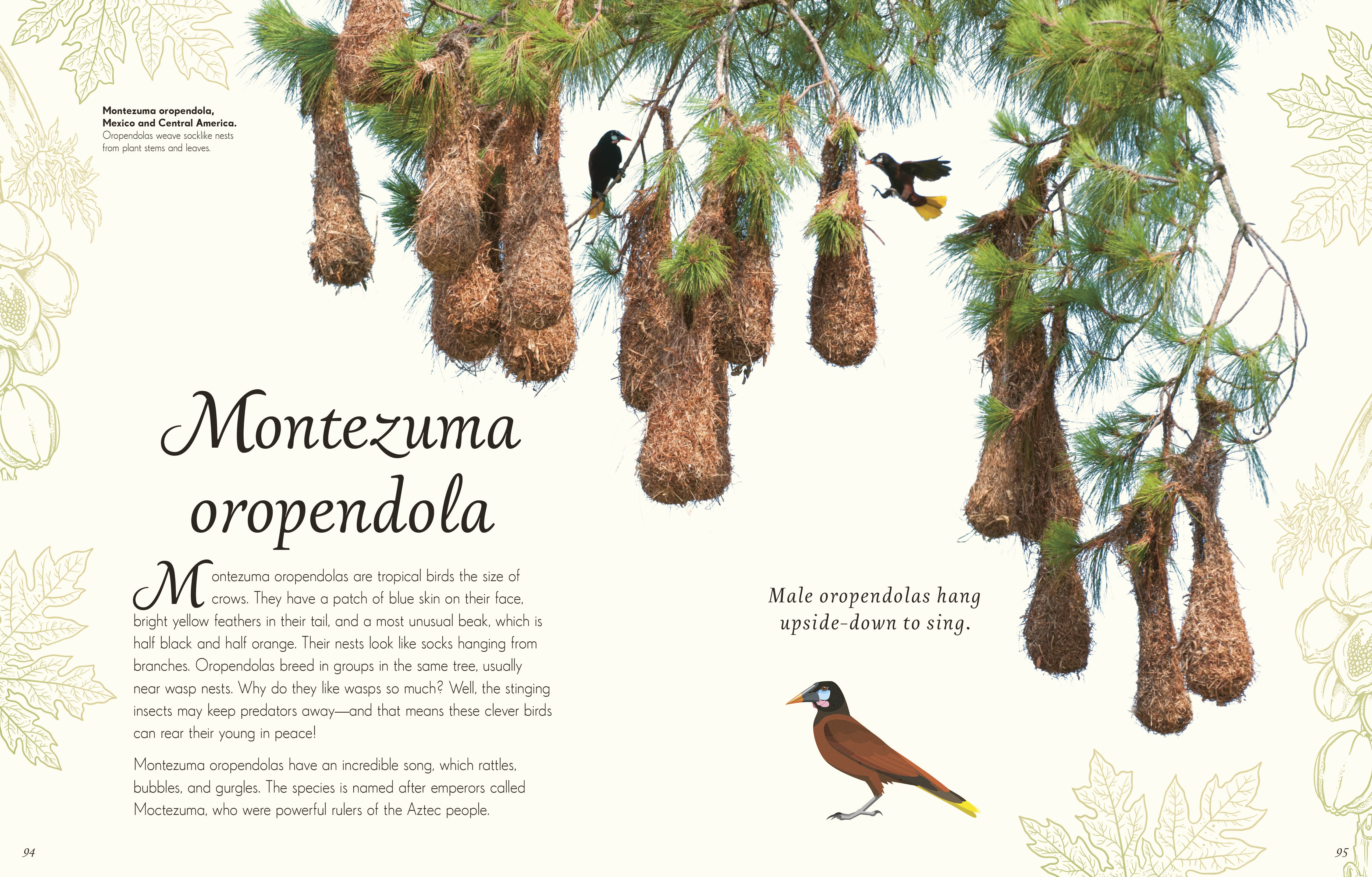 additional book photo