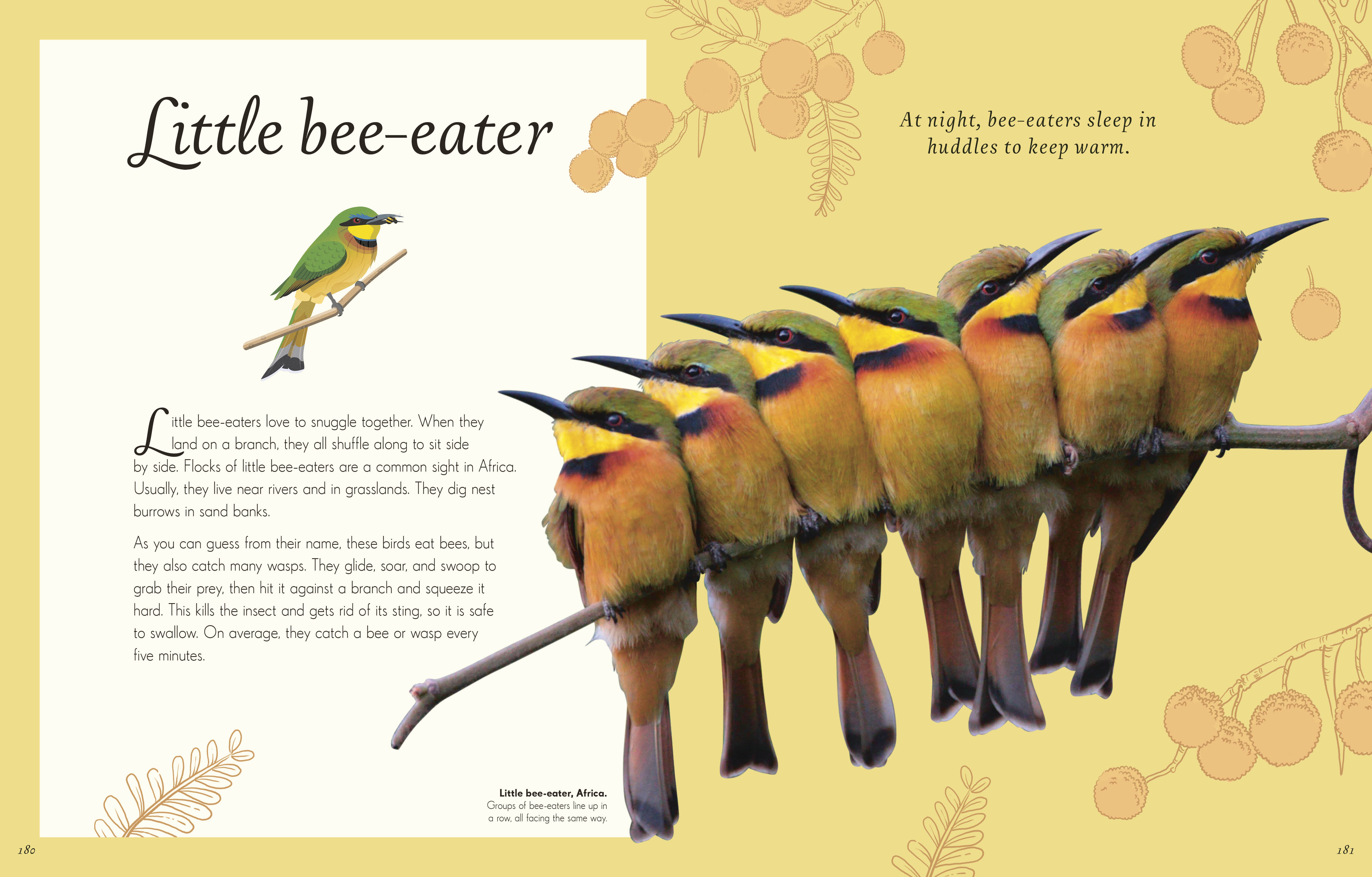 additional book photo