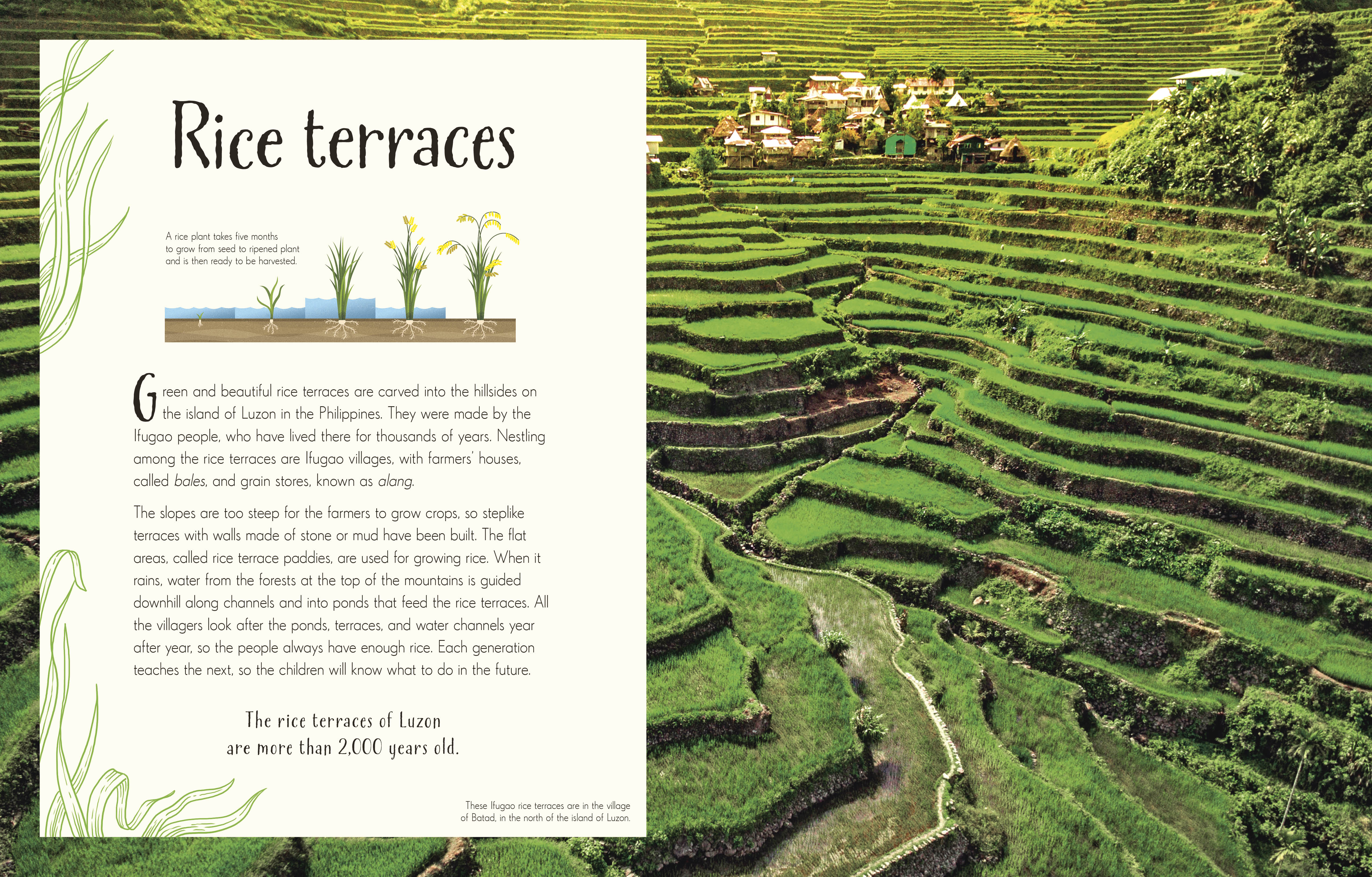 additional book photo