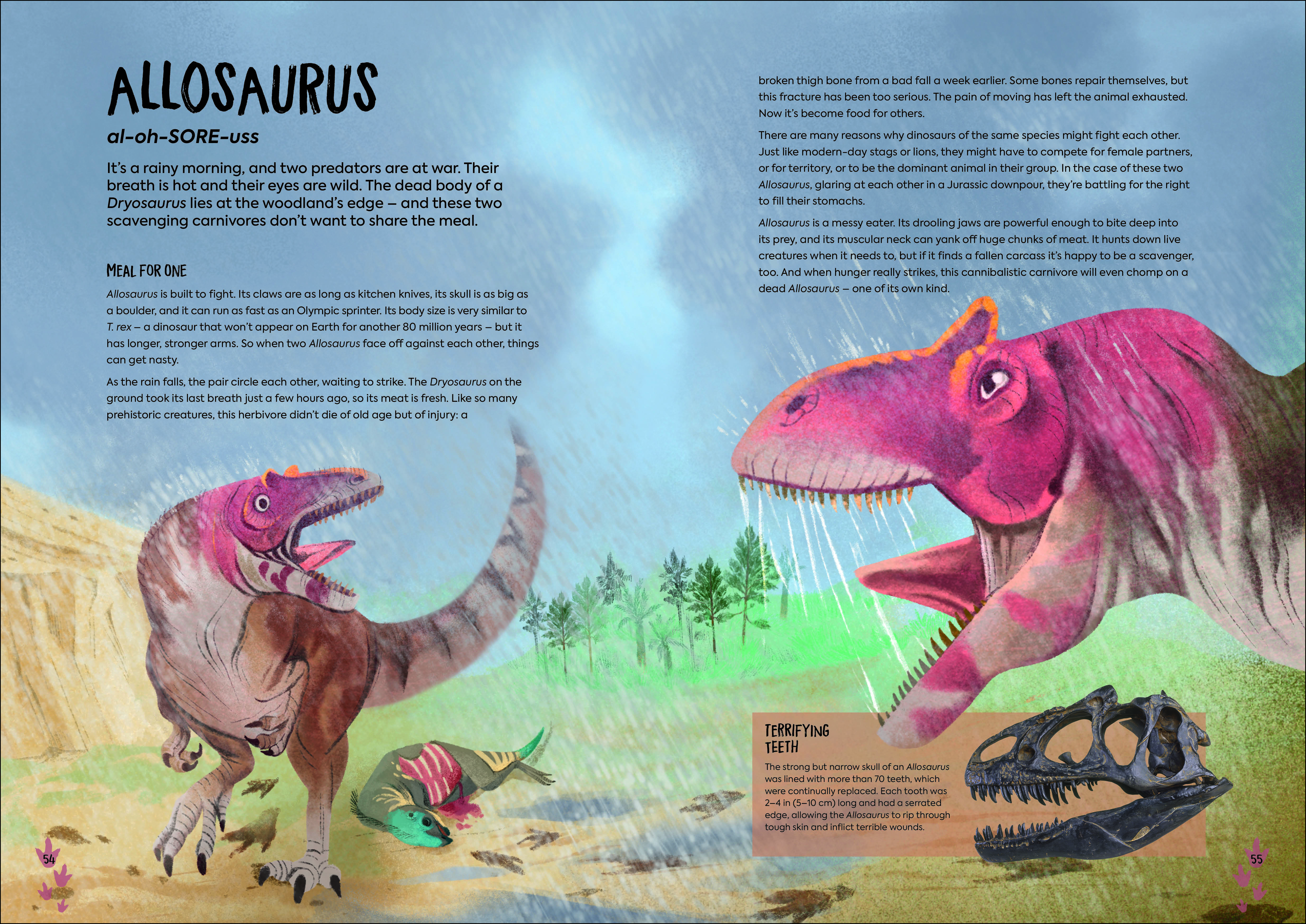 additional book photo