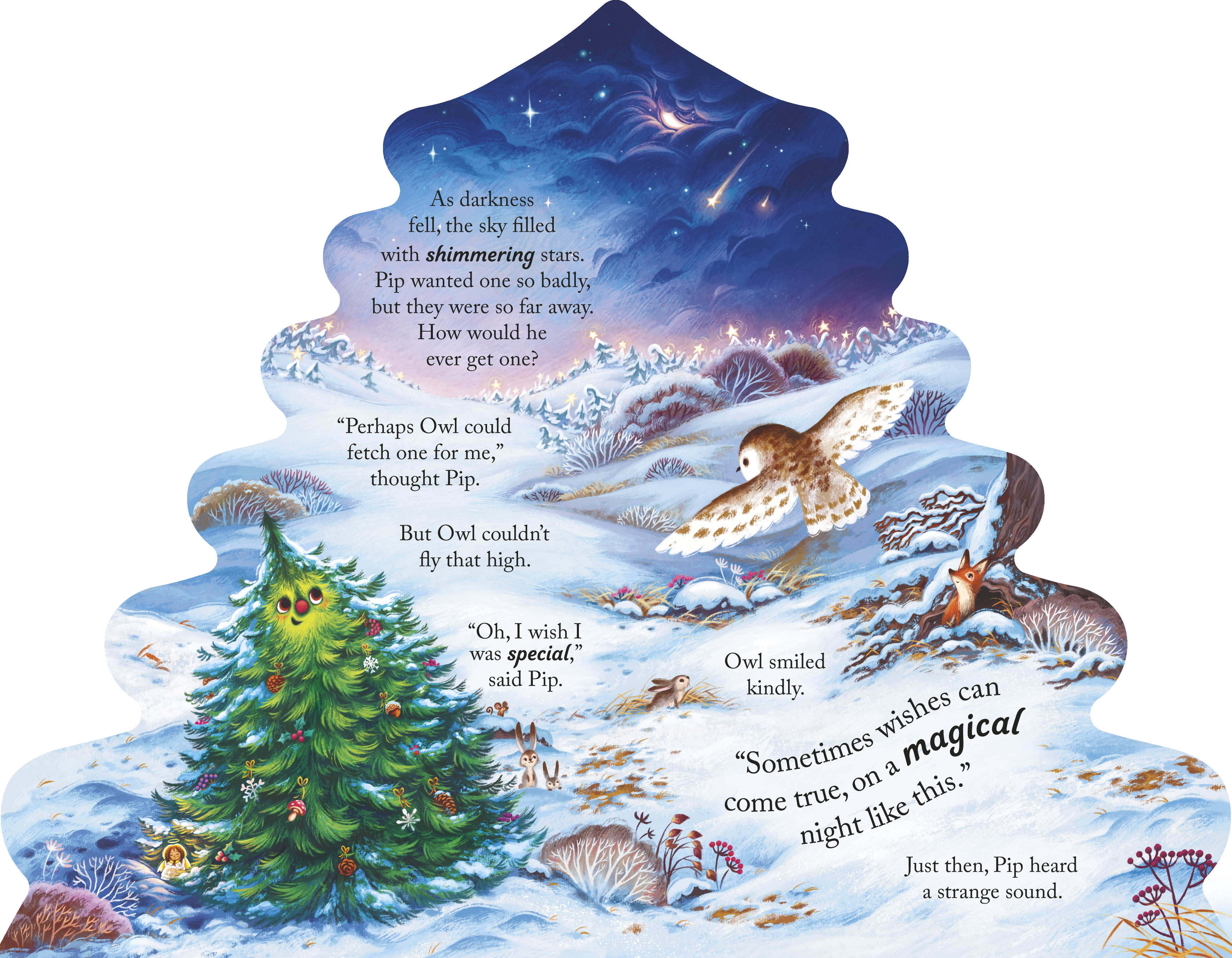 additional book photo