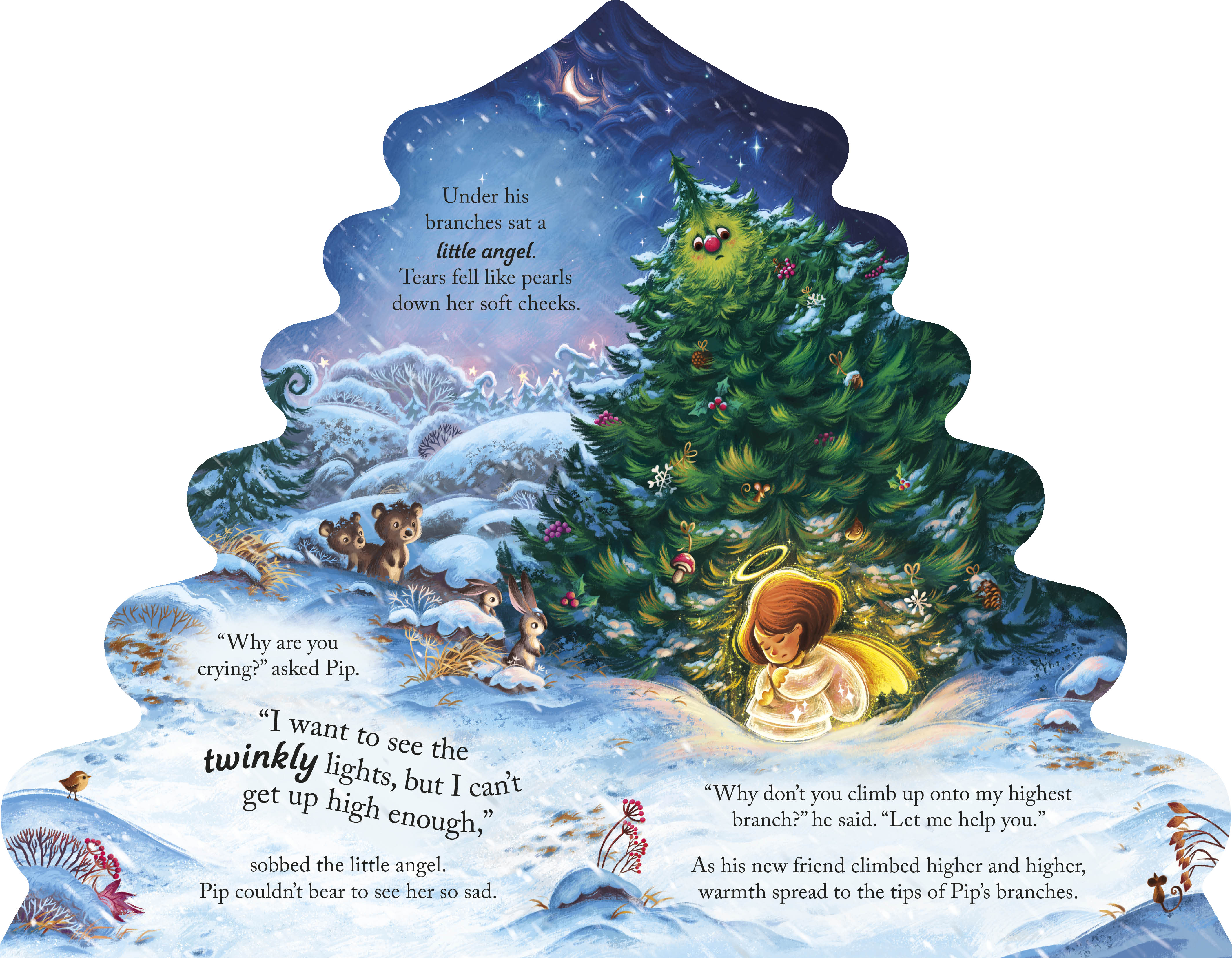 additional book photo