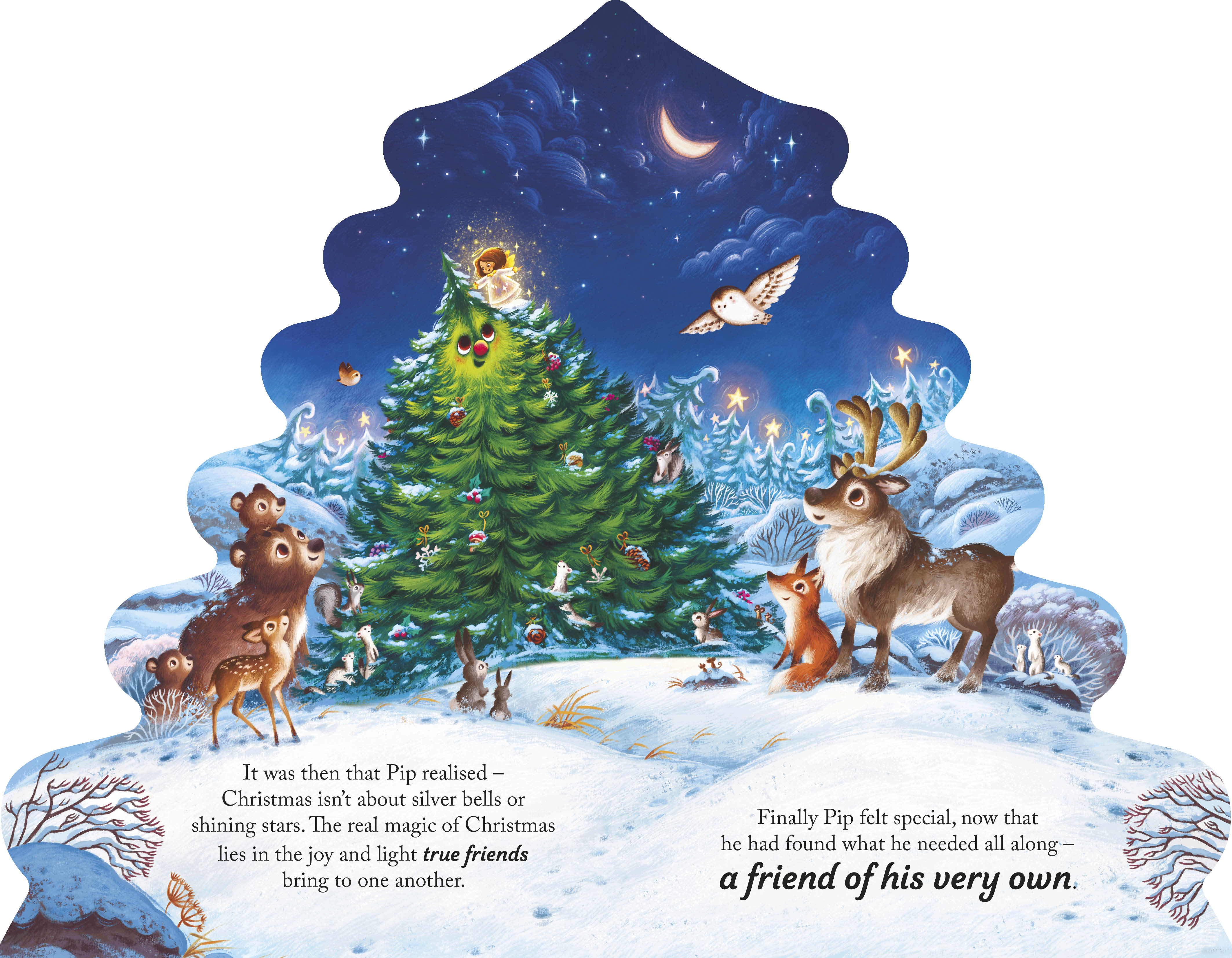 additional book photo