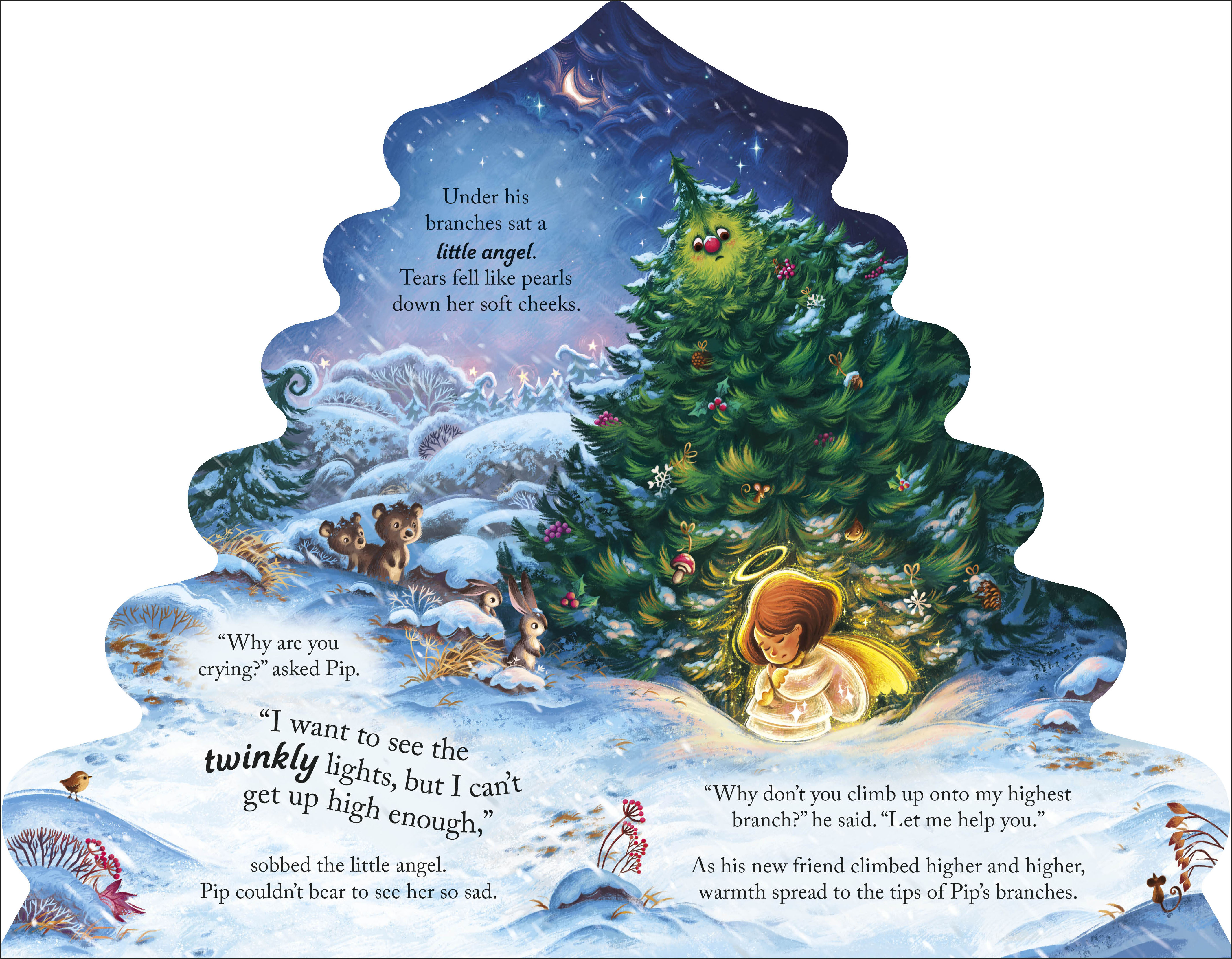 additional book photo