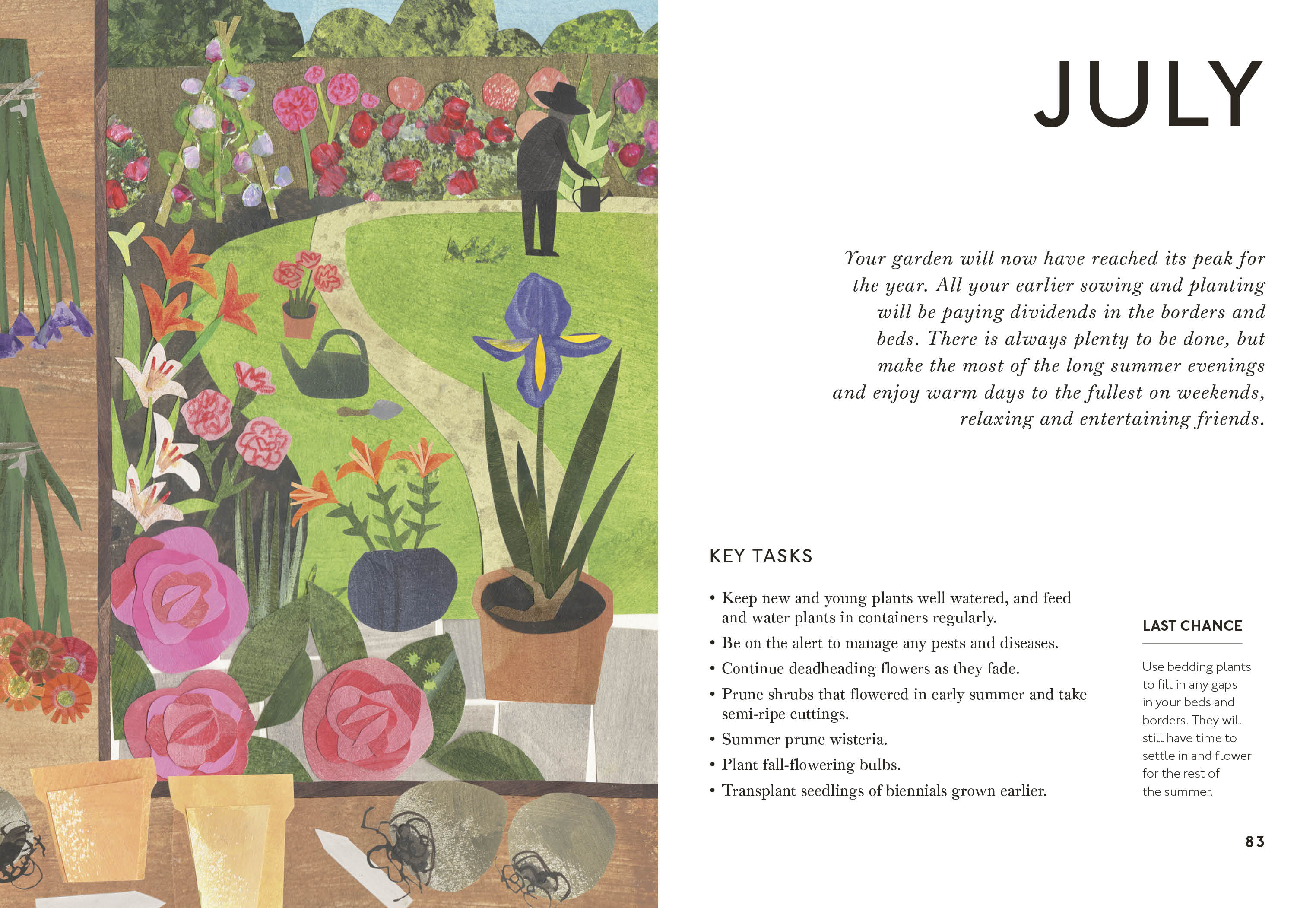 additional book photo