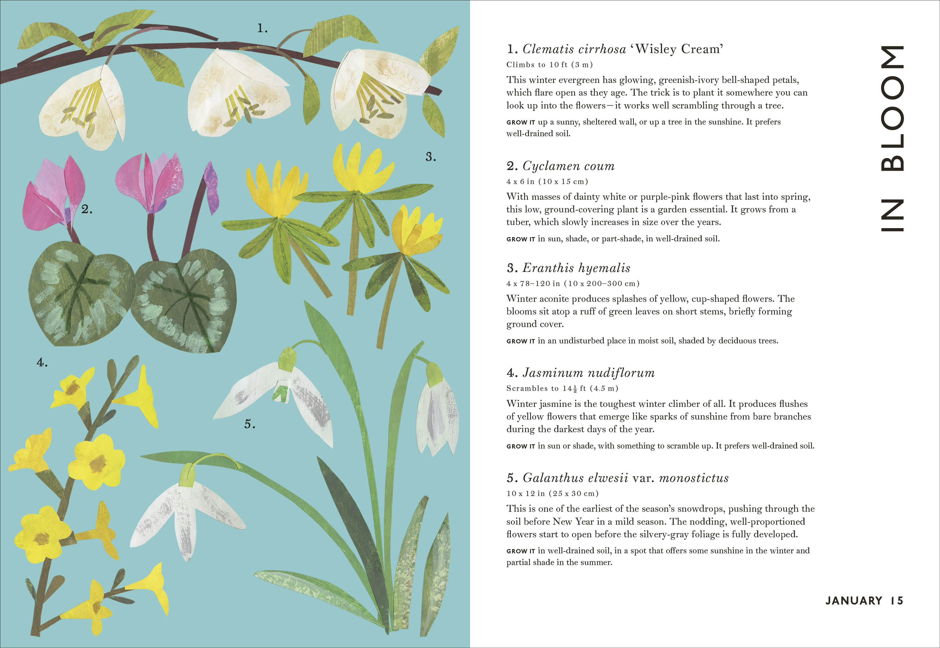 additional book photo
