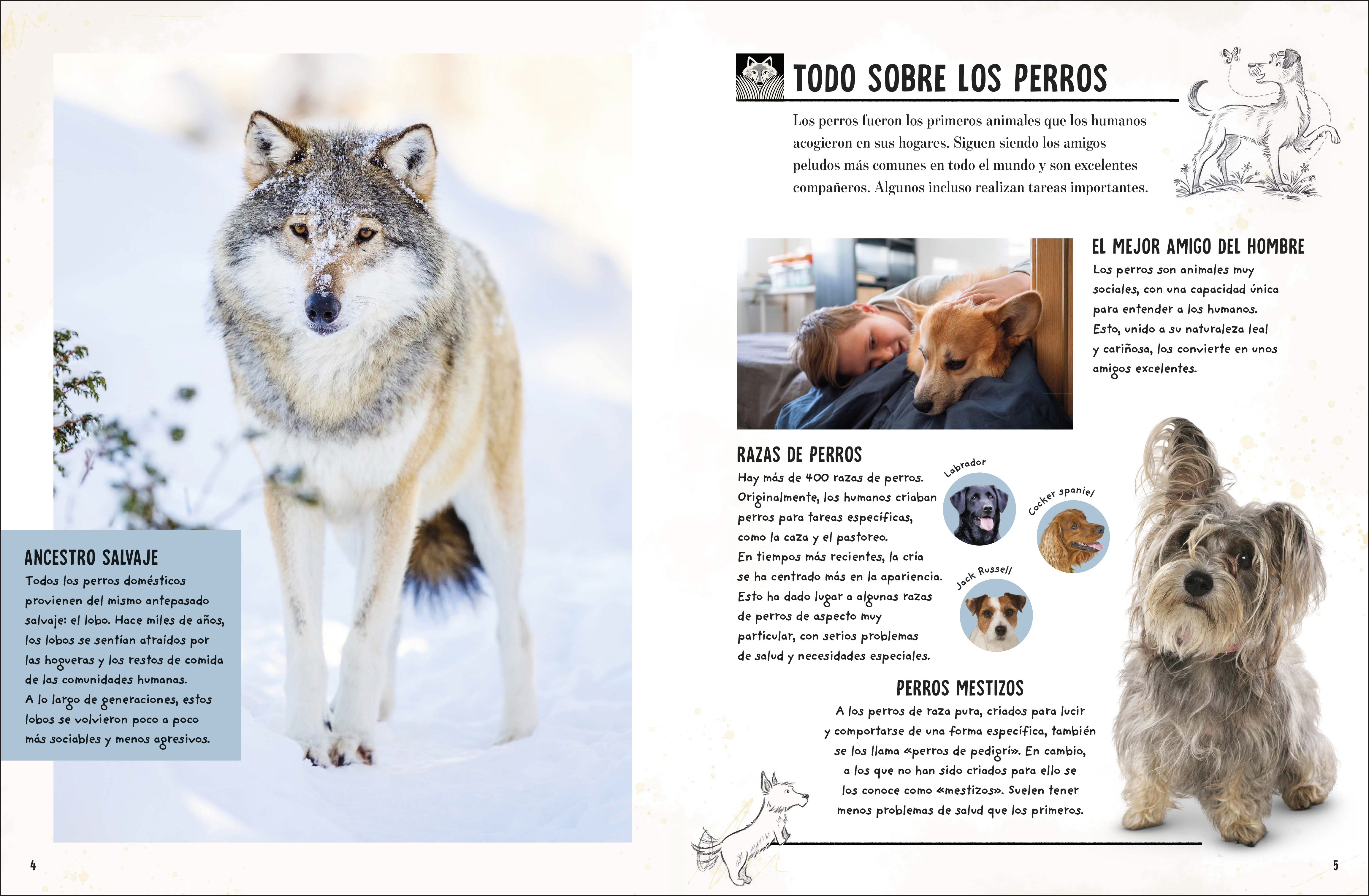 additional book photo