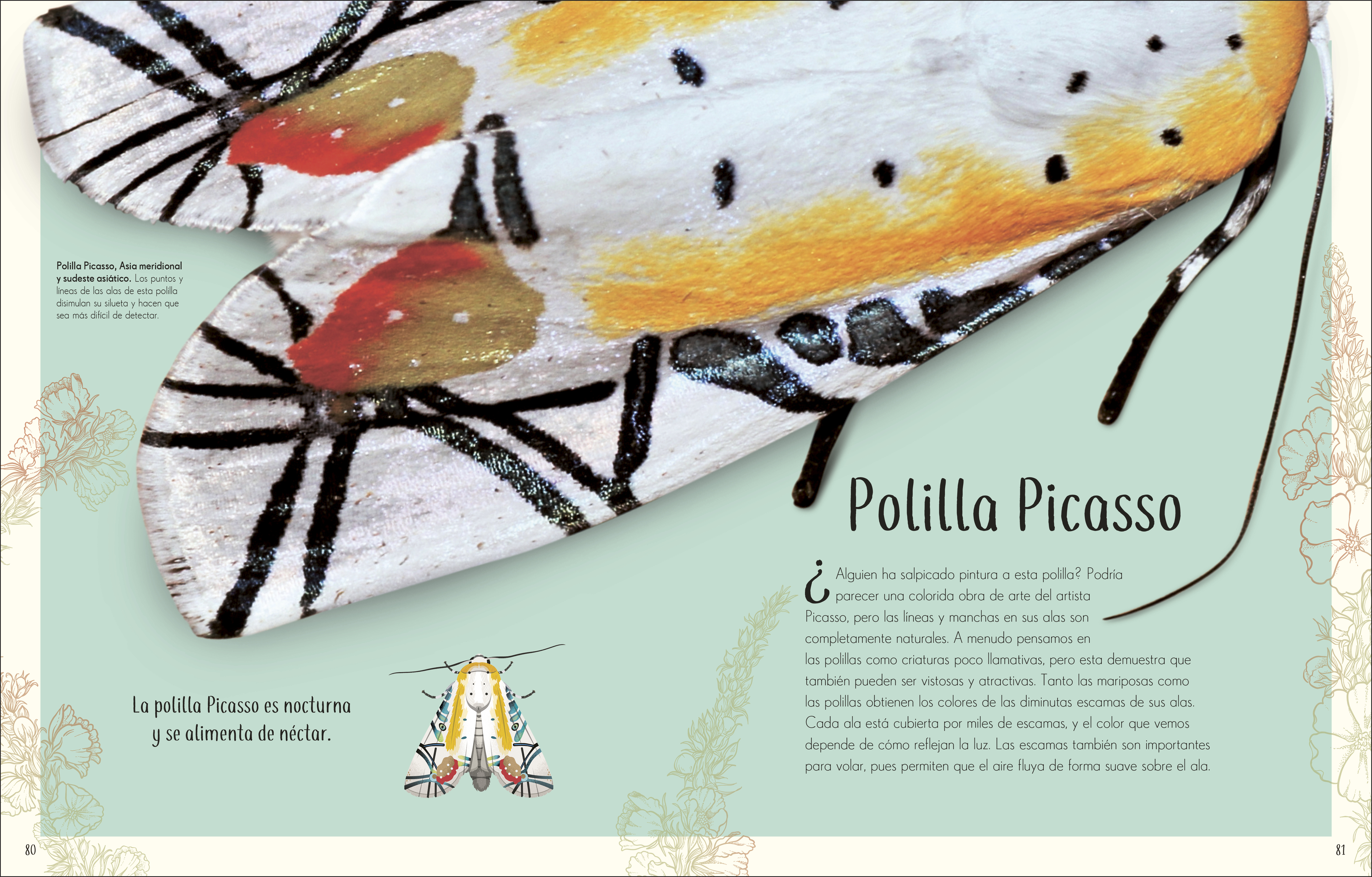 additional book photo