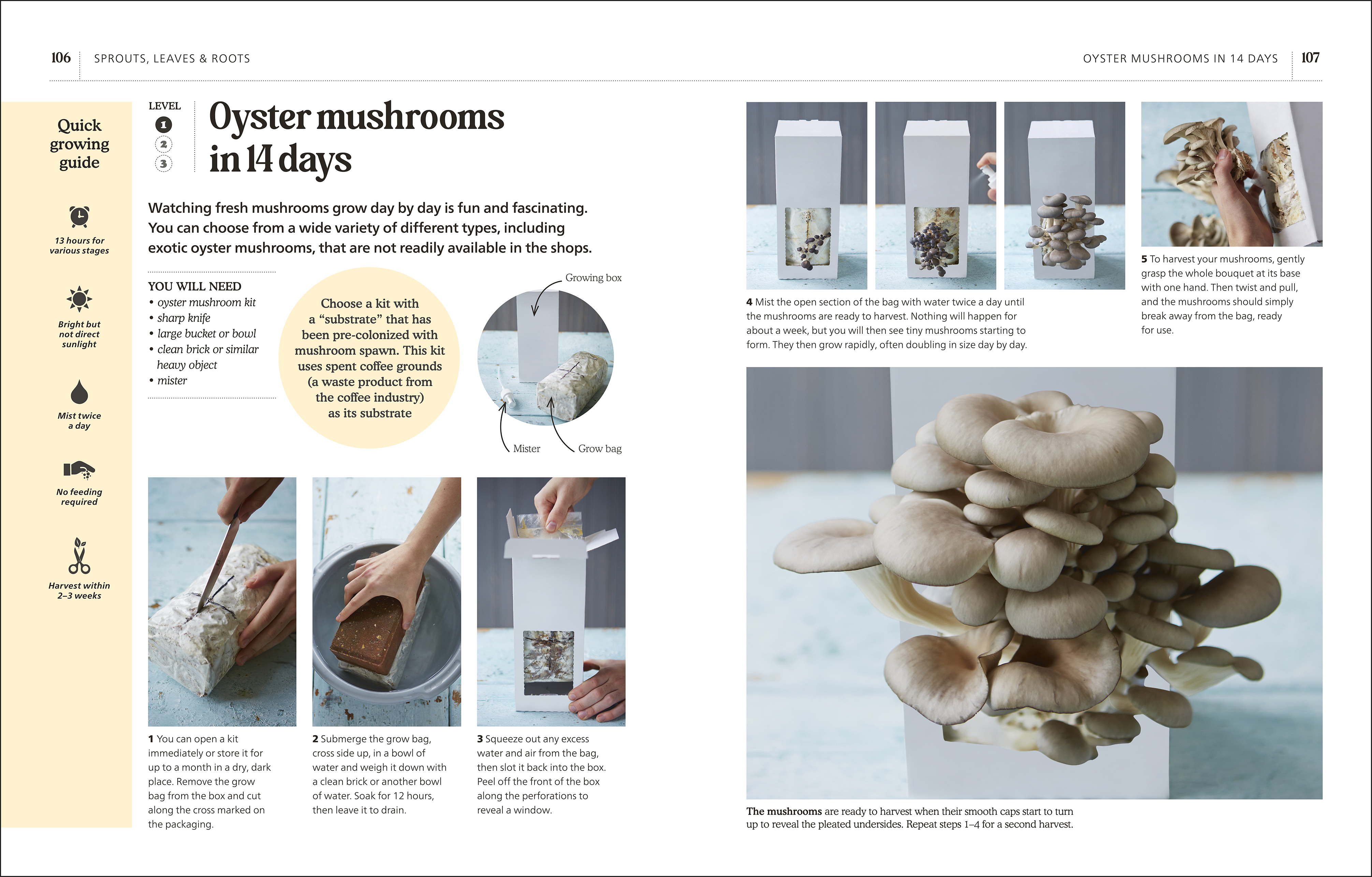 additional book photo