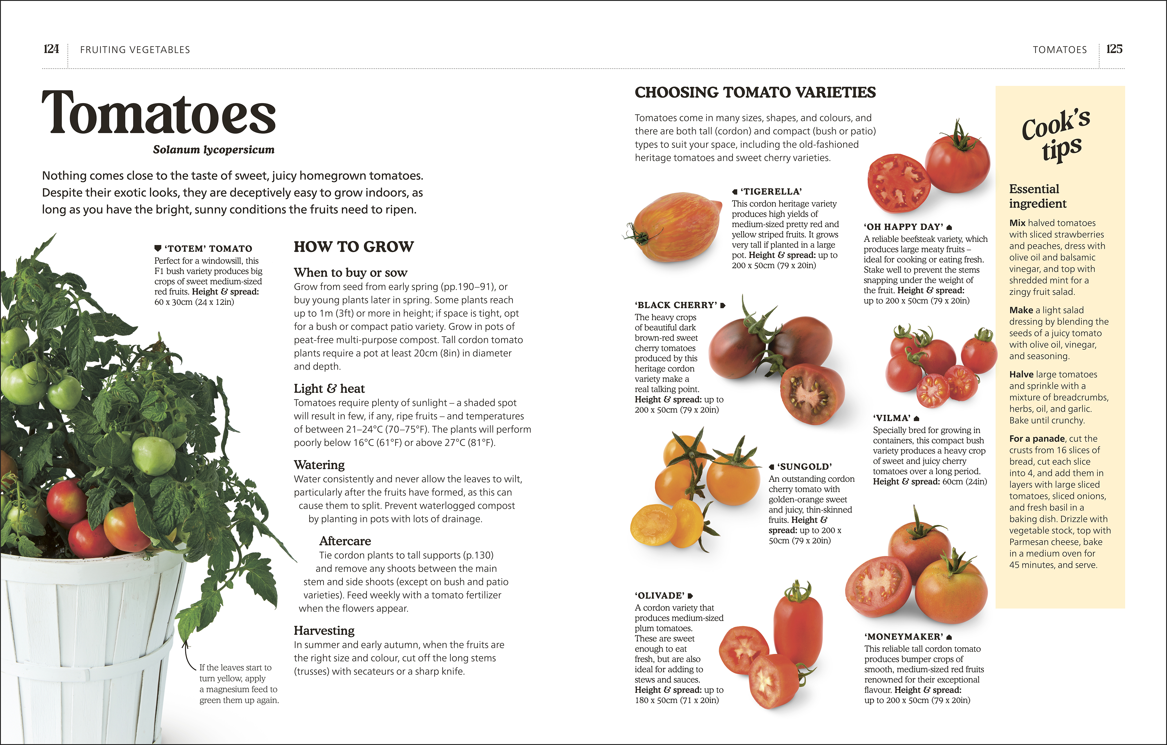 additional book photo