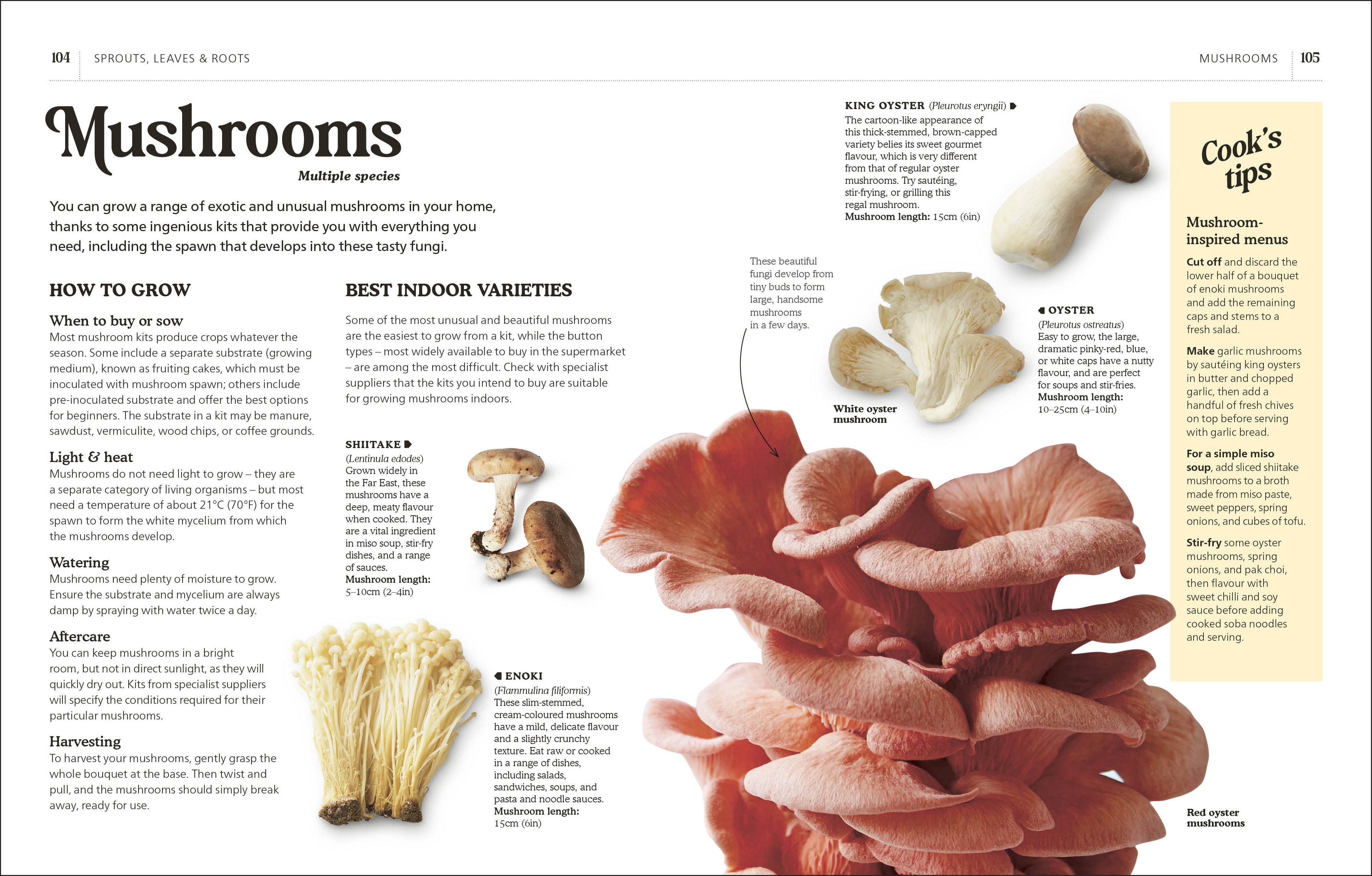 additional book photo