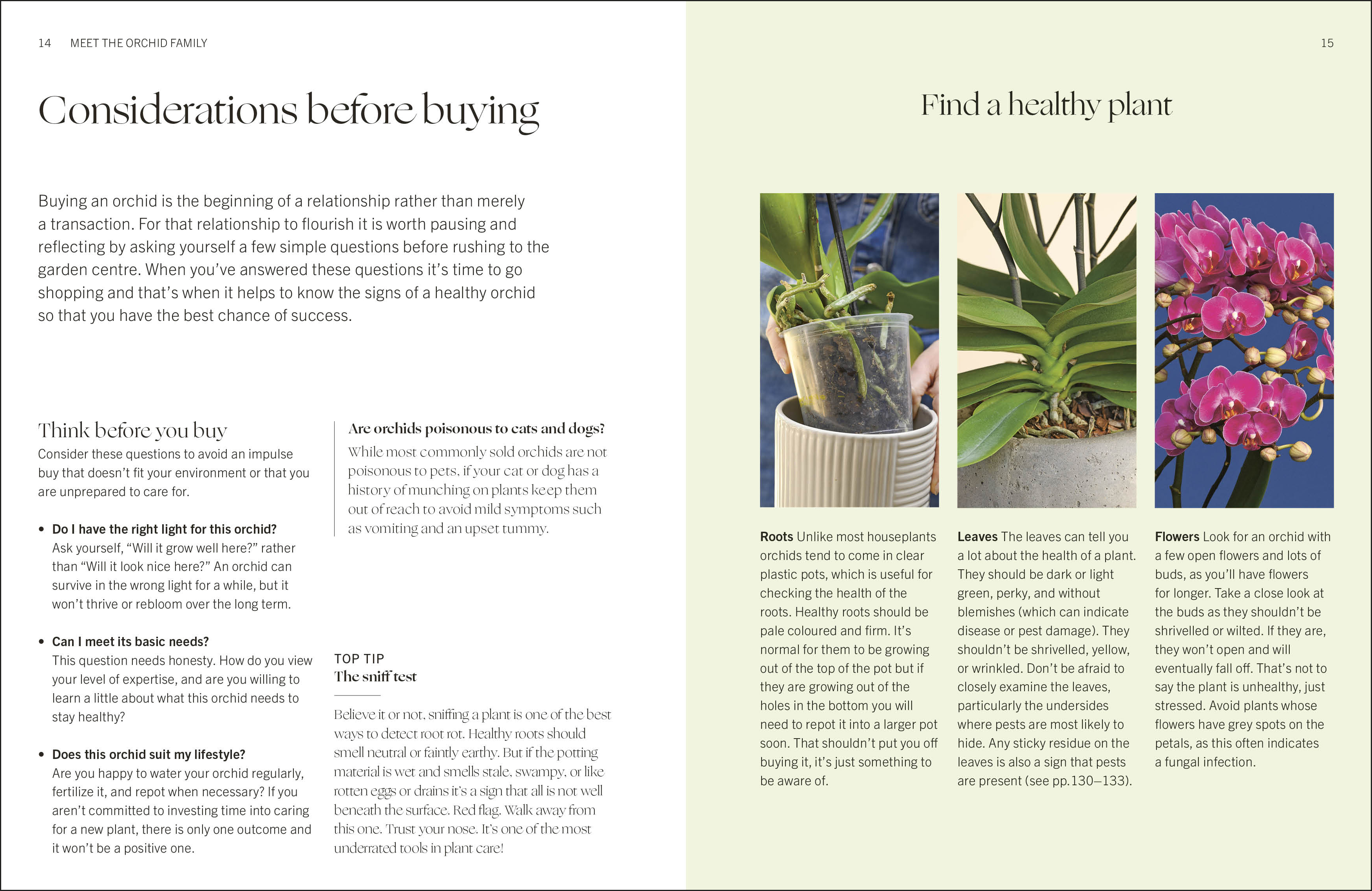 additional book photo