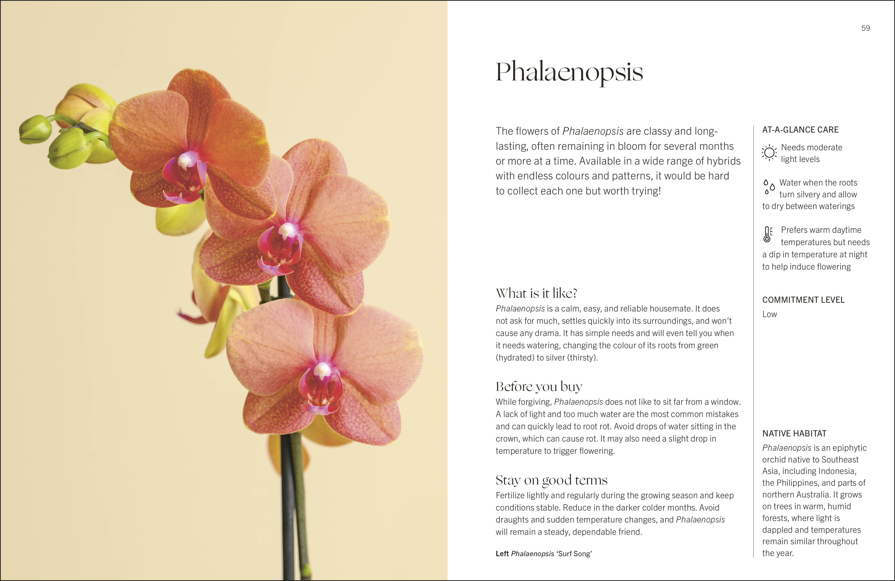 additional book photo