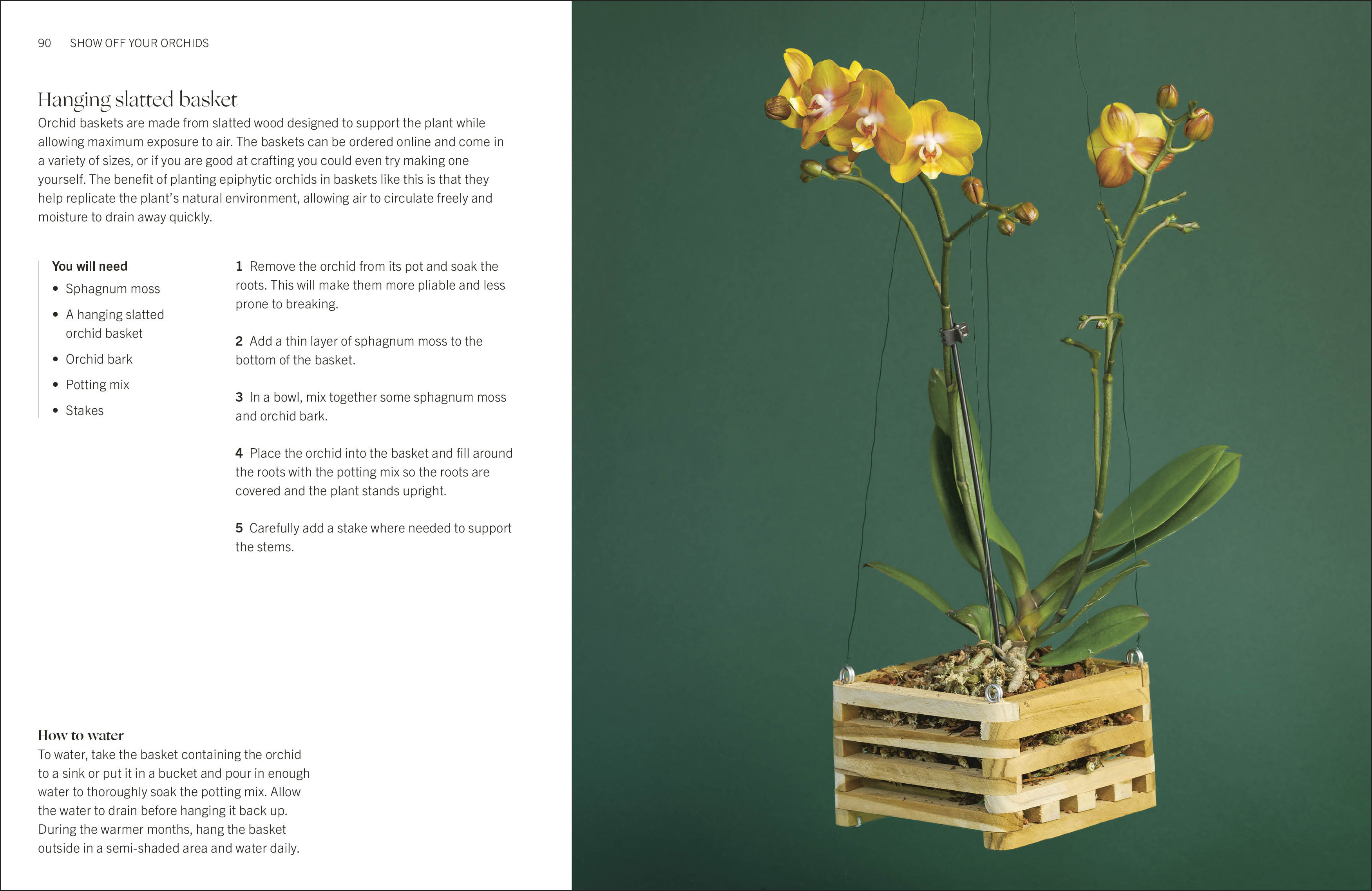 additional book photo