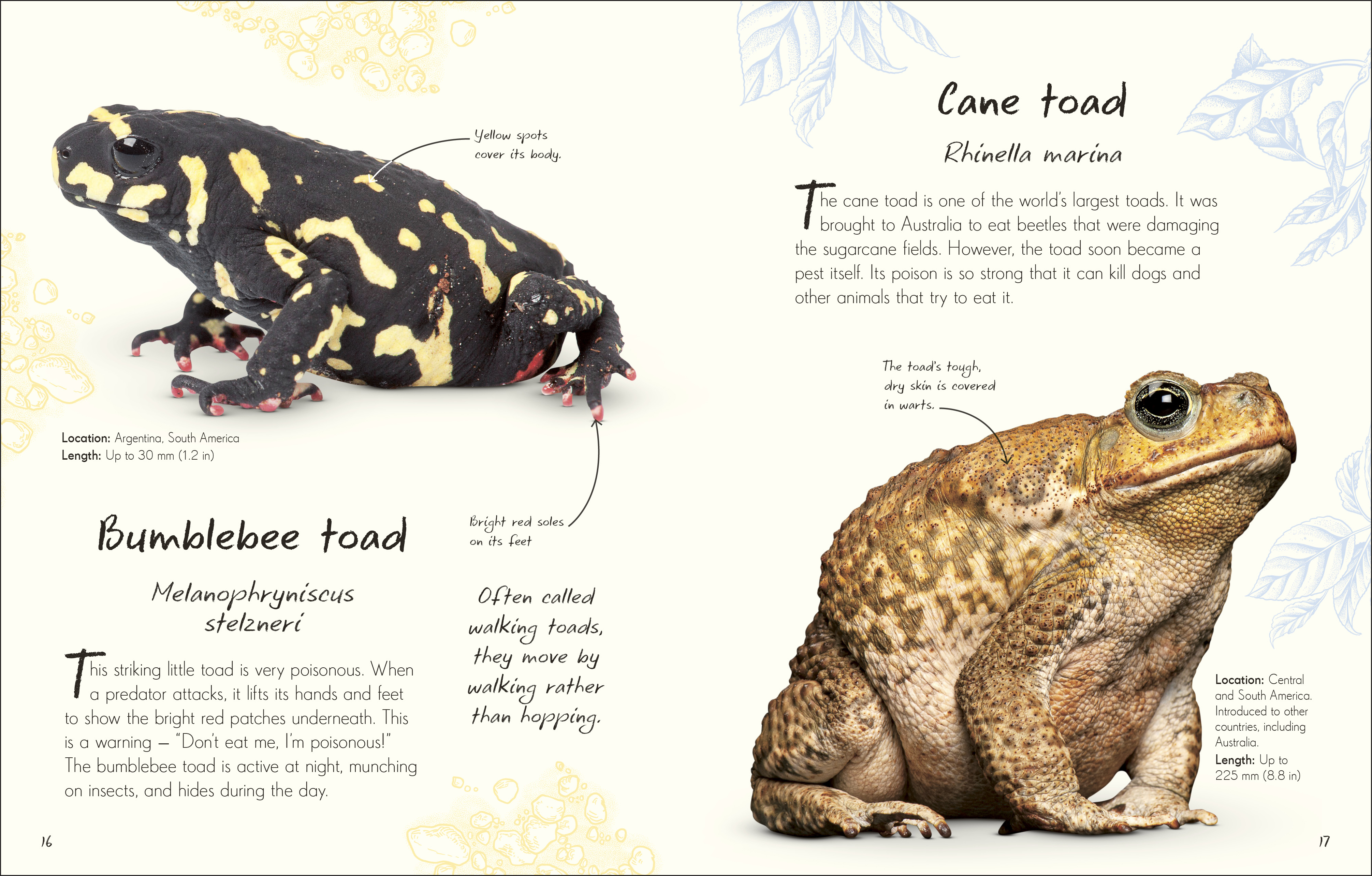 additional book photo