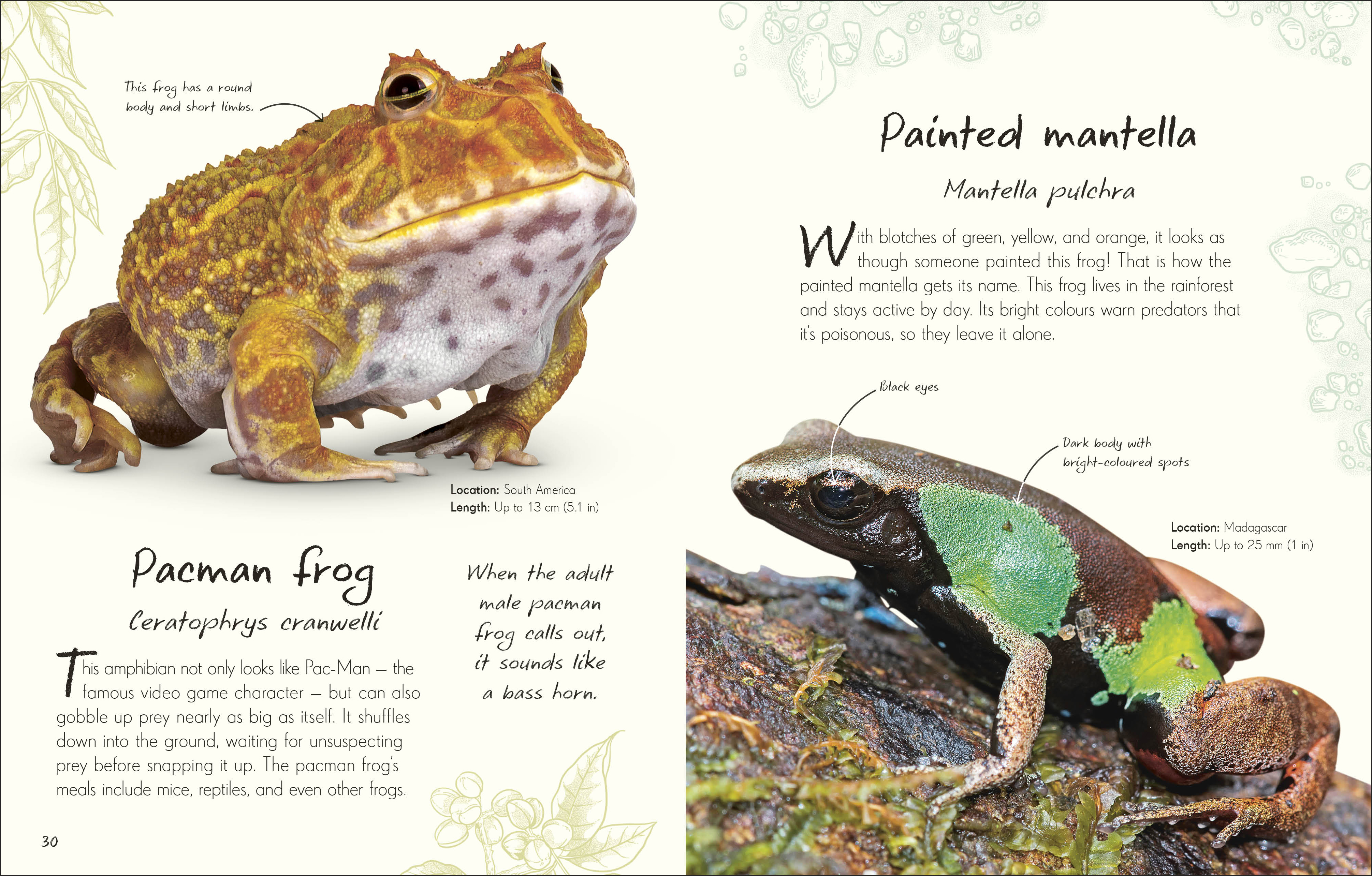 additional book photo