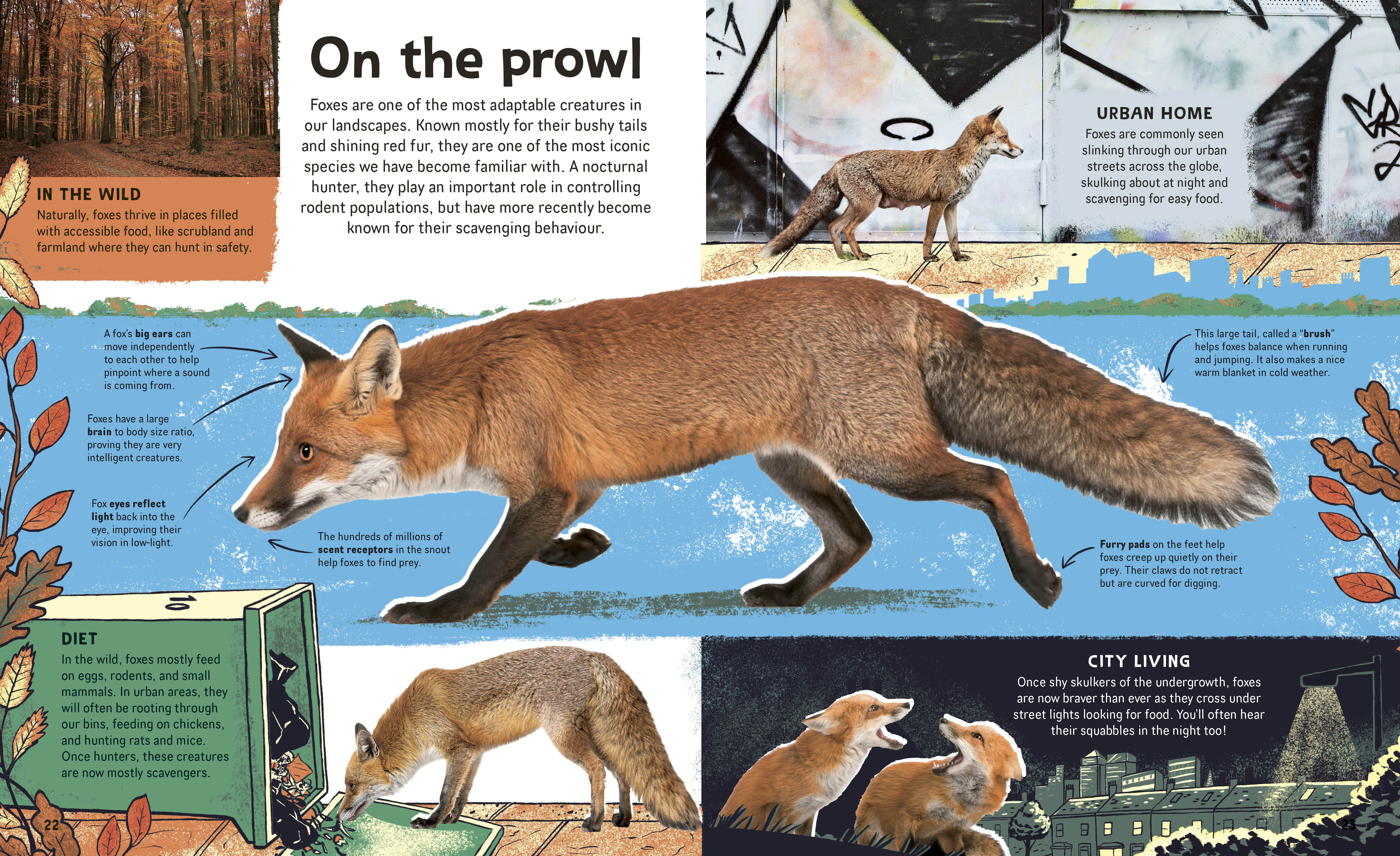 additional book photo