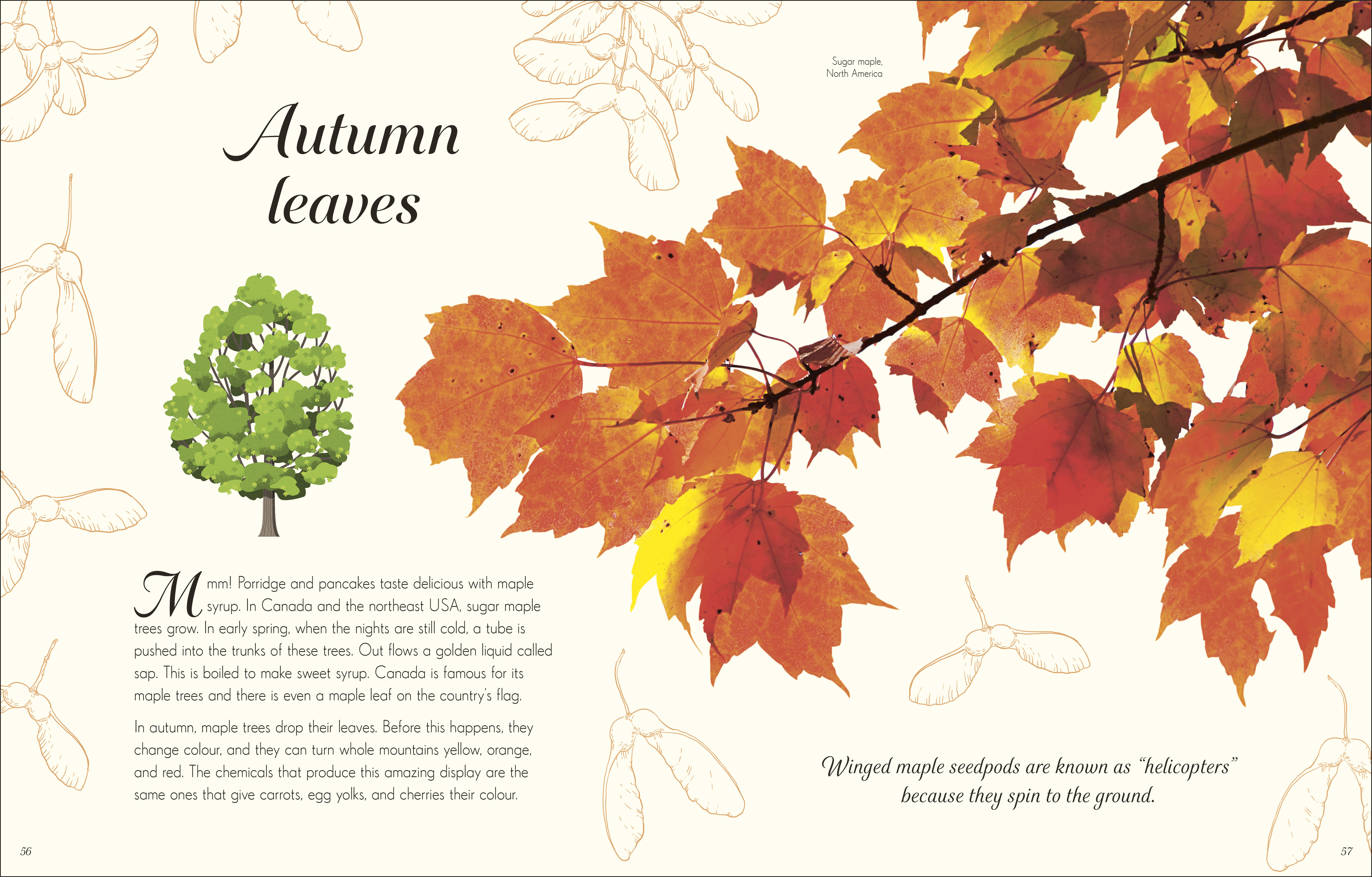 additional book photo
