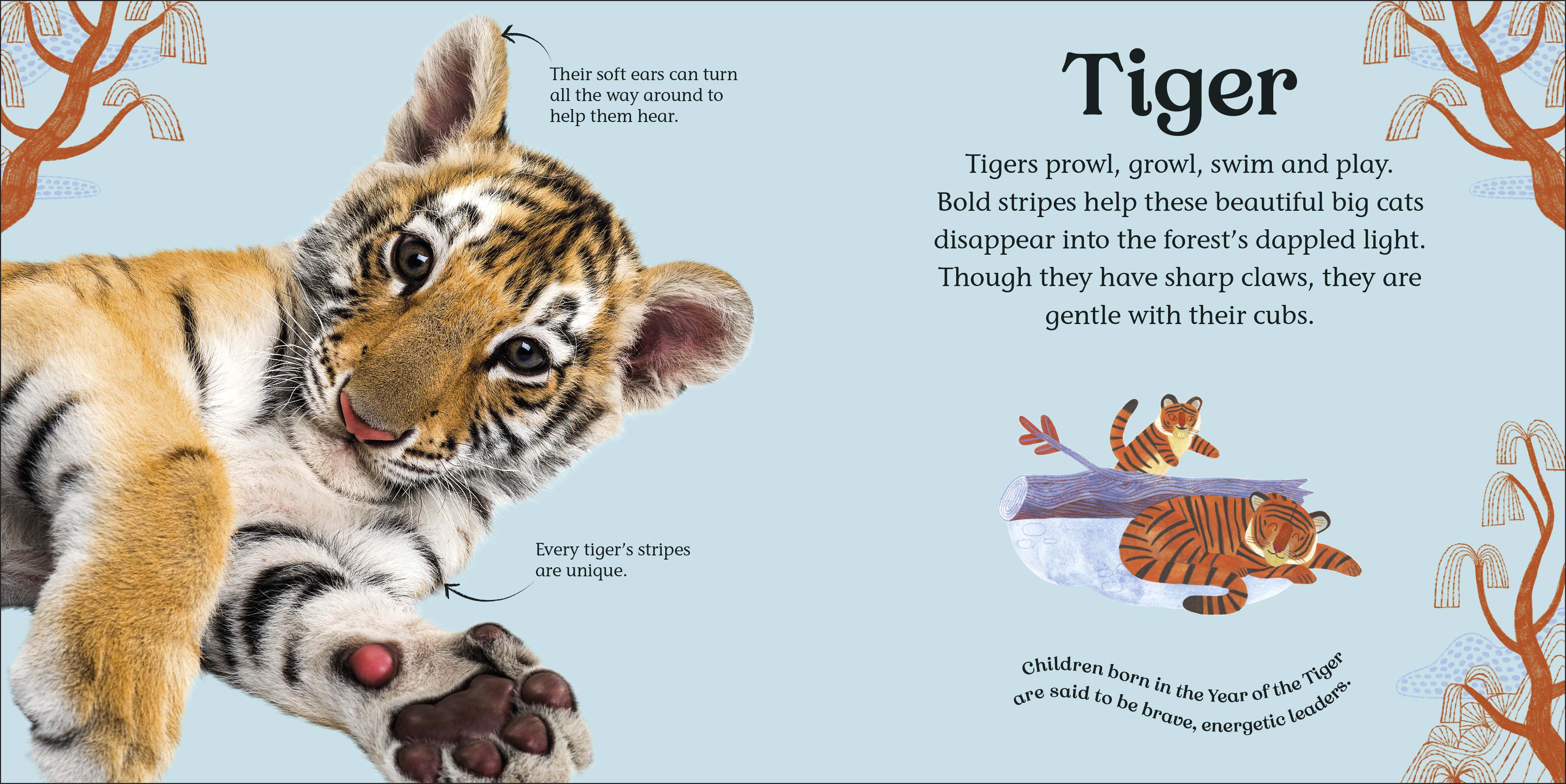 additional book photo