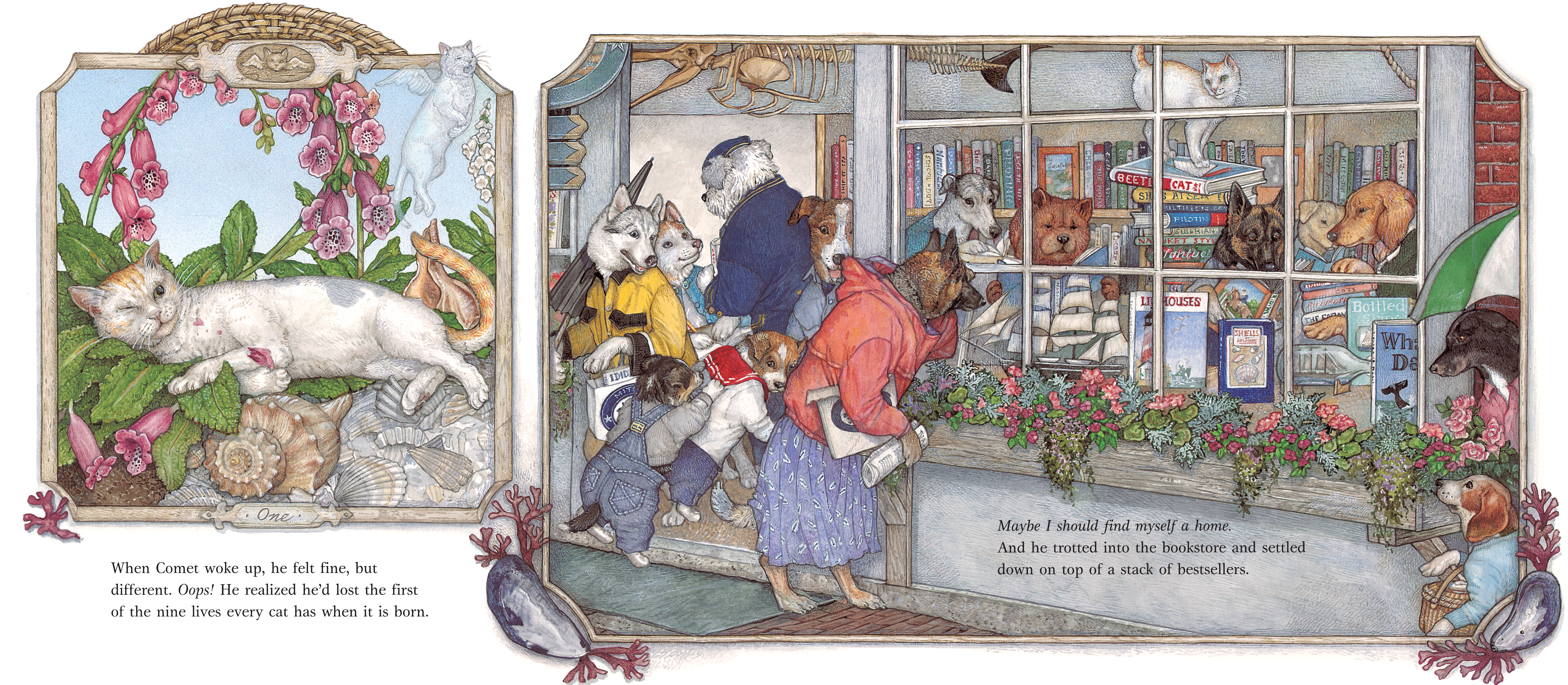 additional book photo