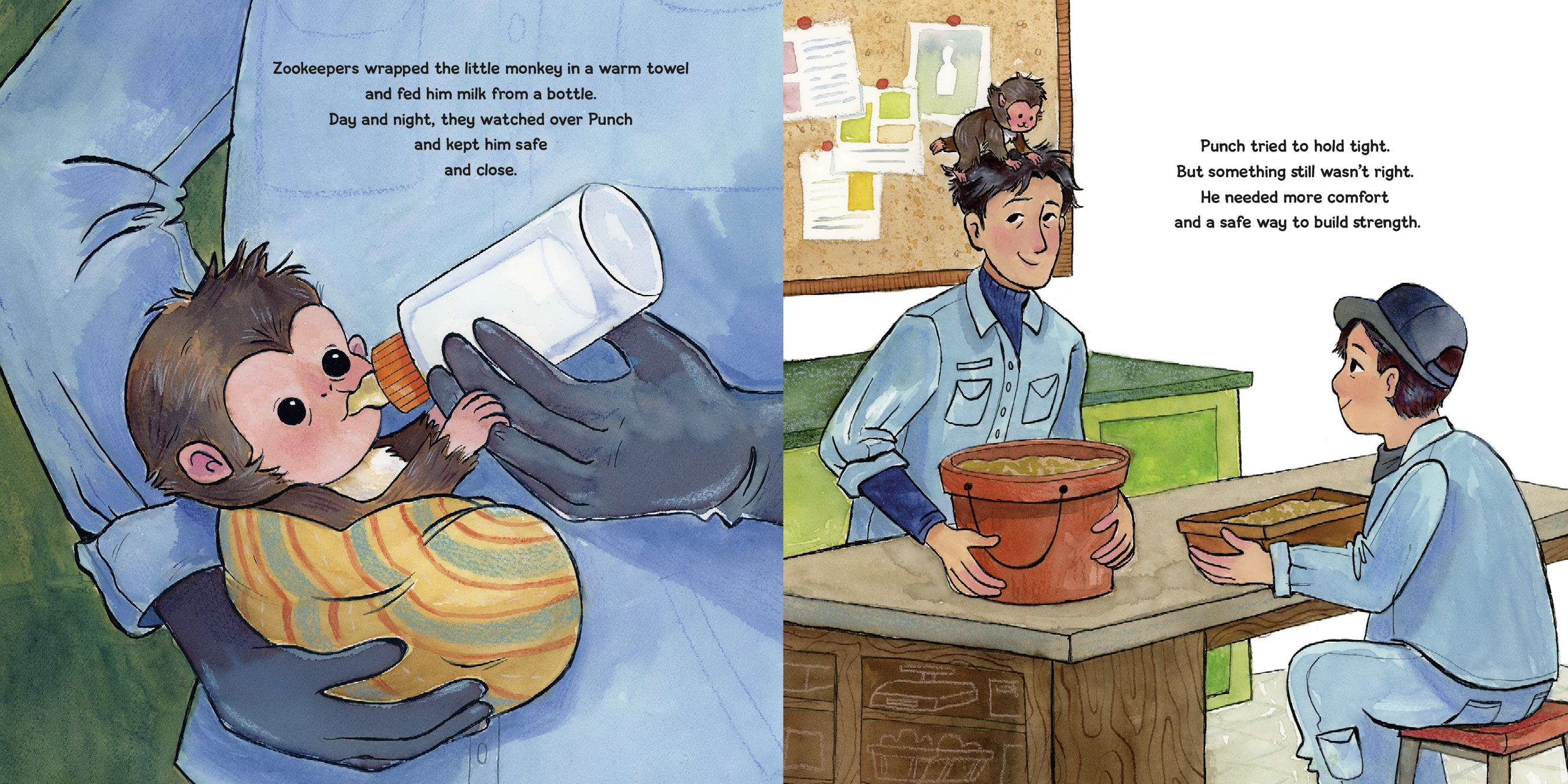 additional book photo