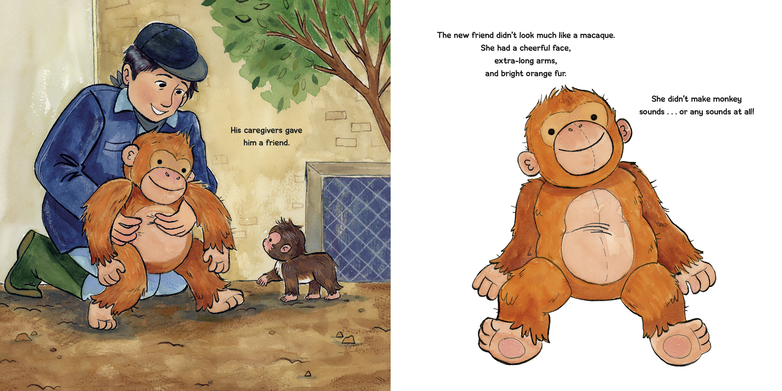 additional book photo