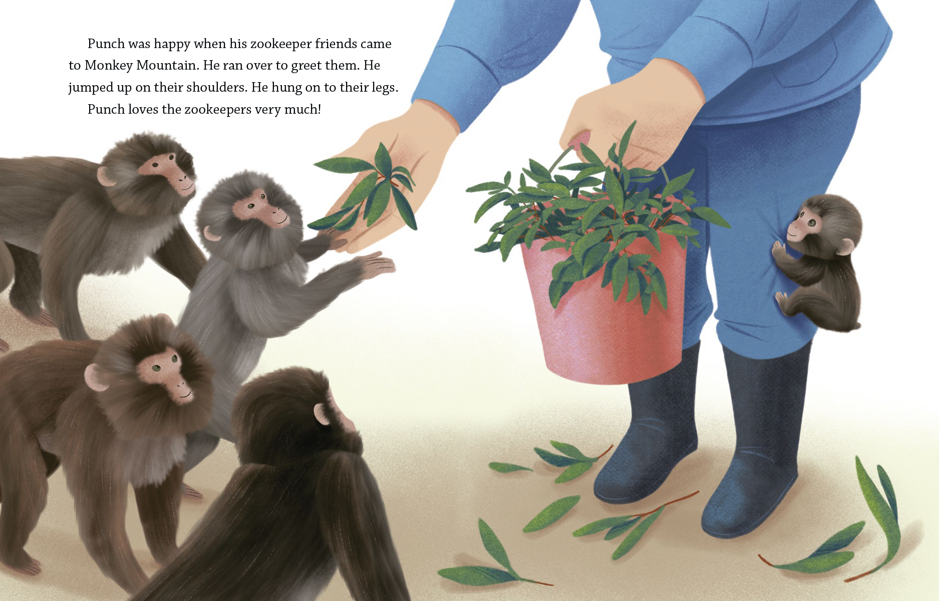 additional book photo