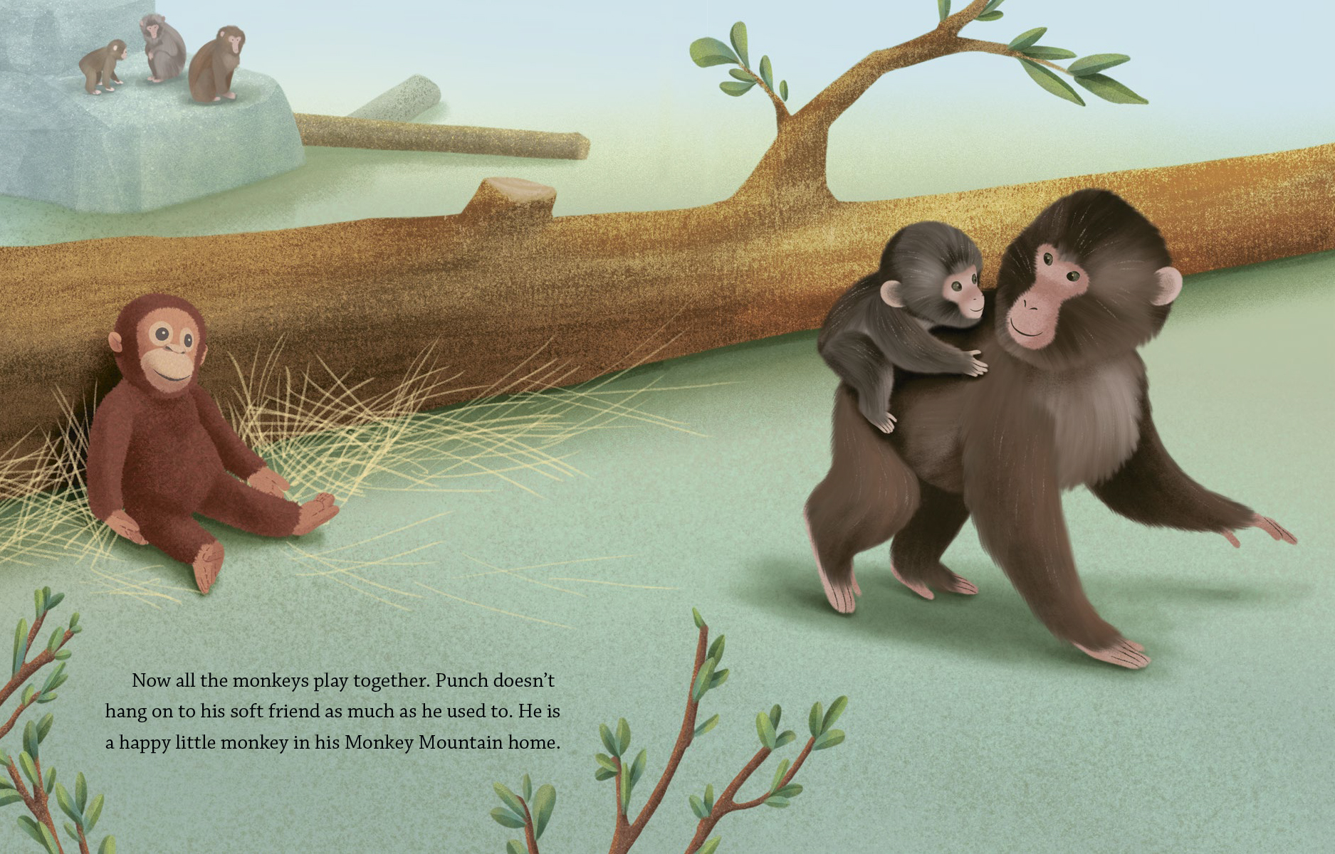 additional book photo