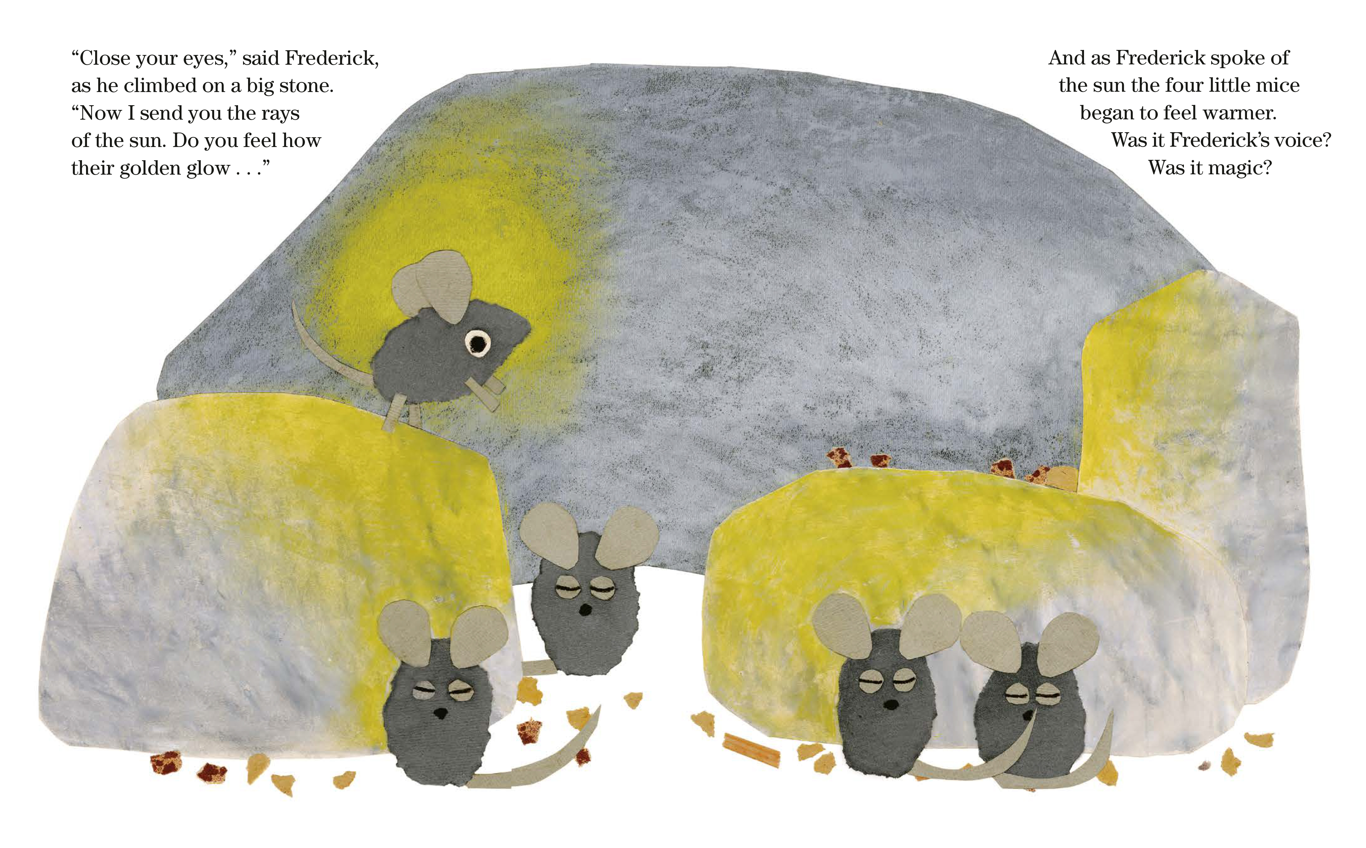 additional book photo