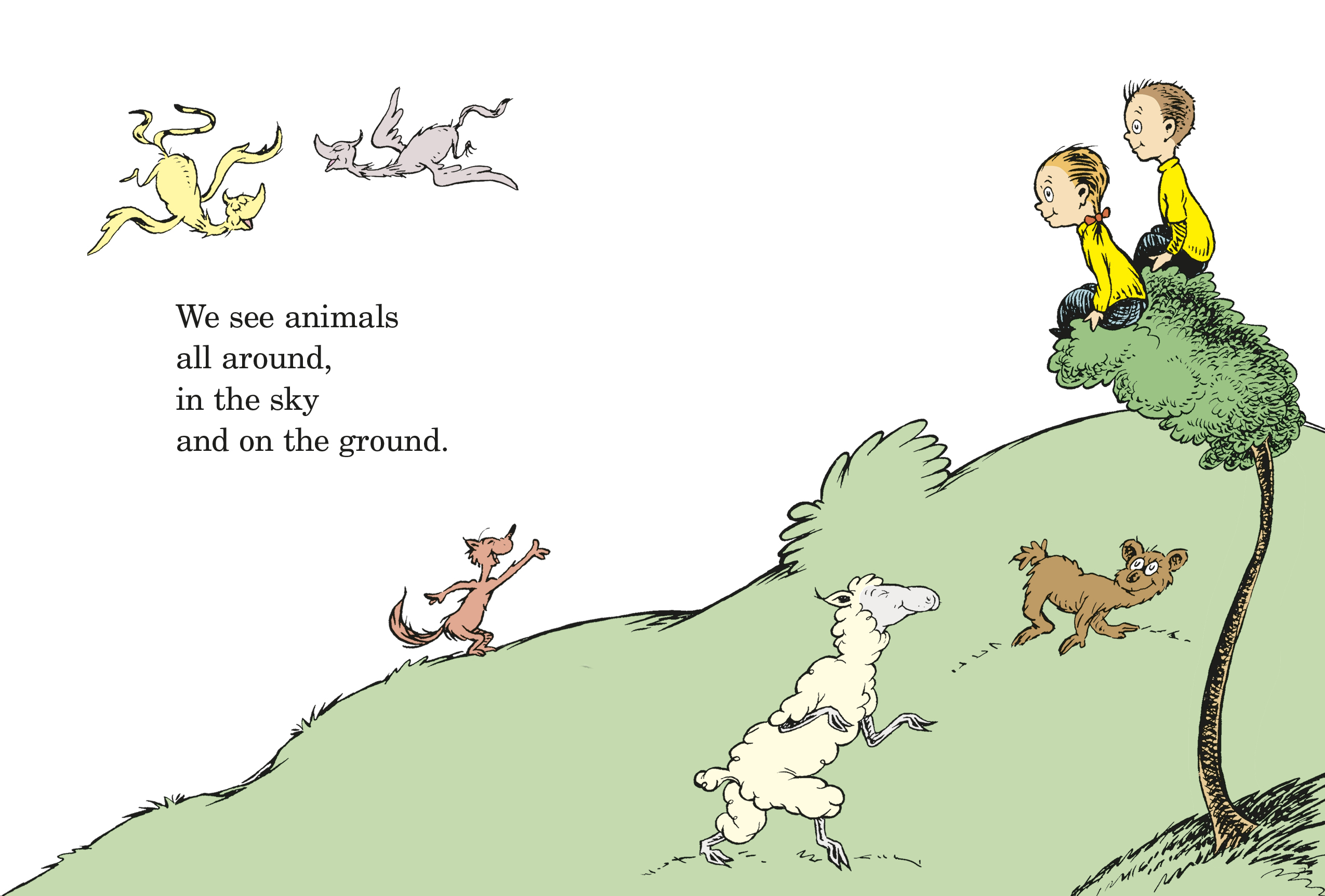 additional book photo