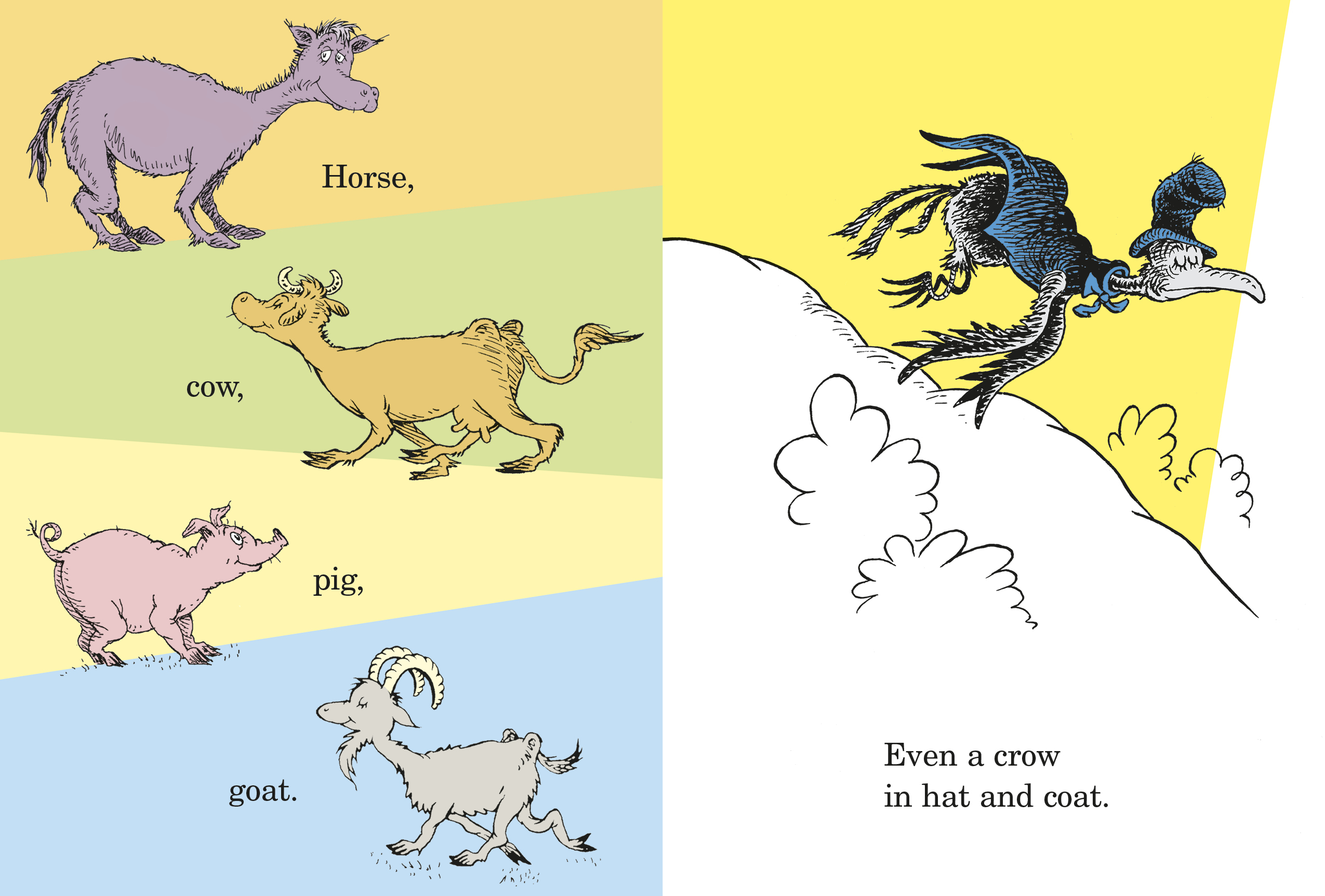 additional book photo